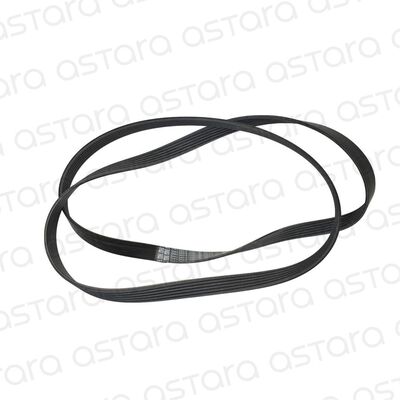 CORREA DE ACCESORIOS