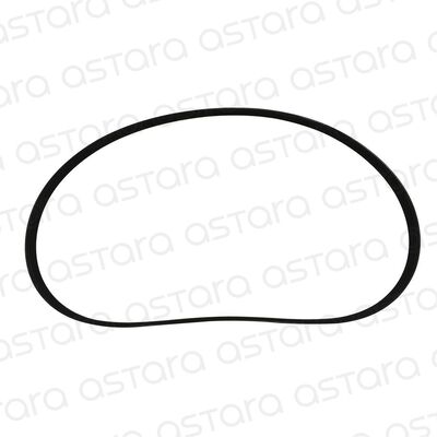 CORREA DE ACCESORIOS