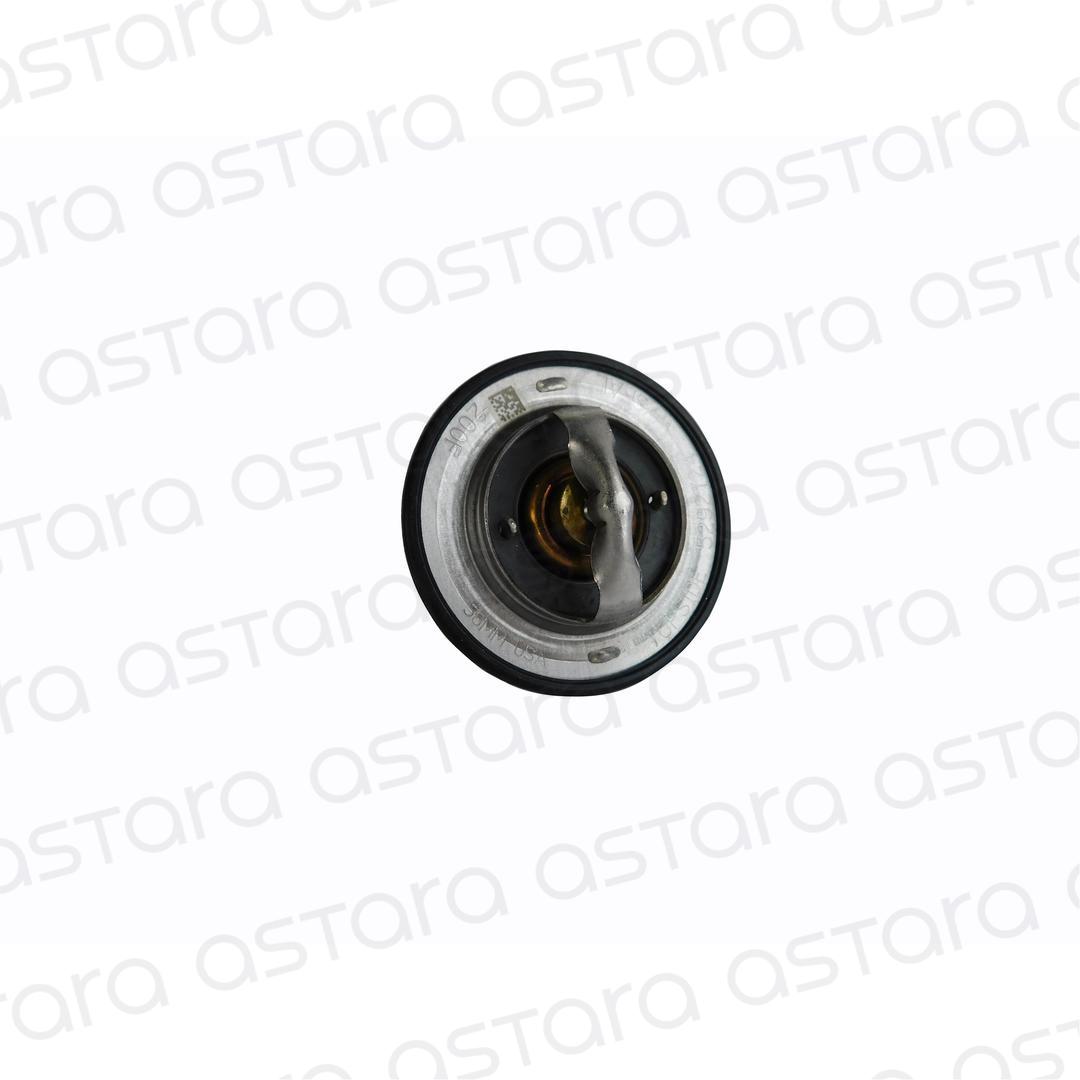TERMOSTATO image number null