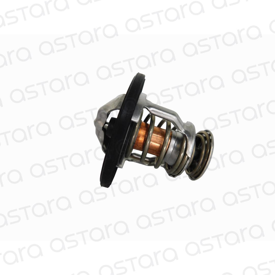 TERMOSTATO image number null