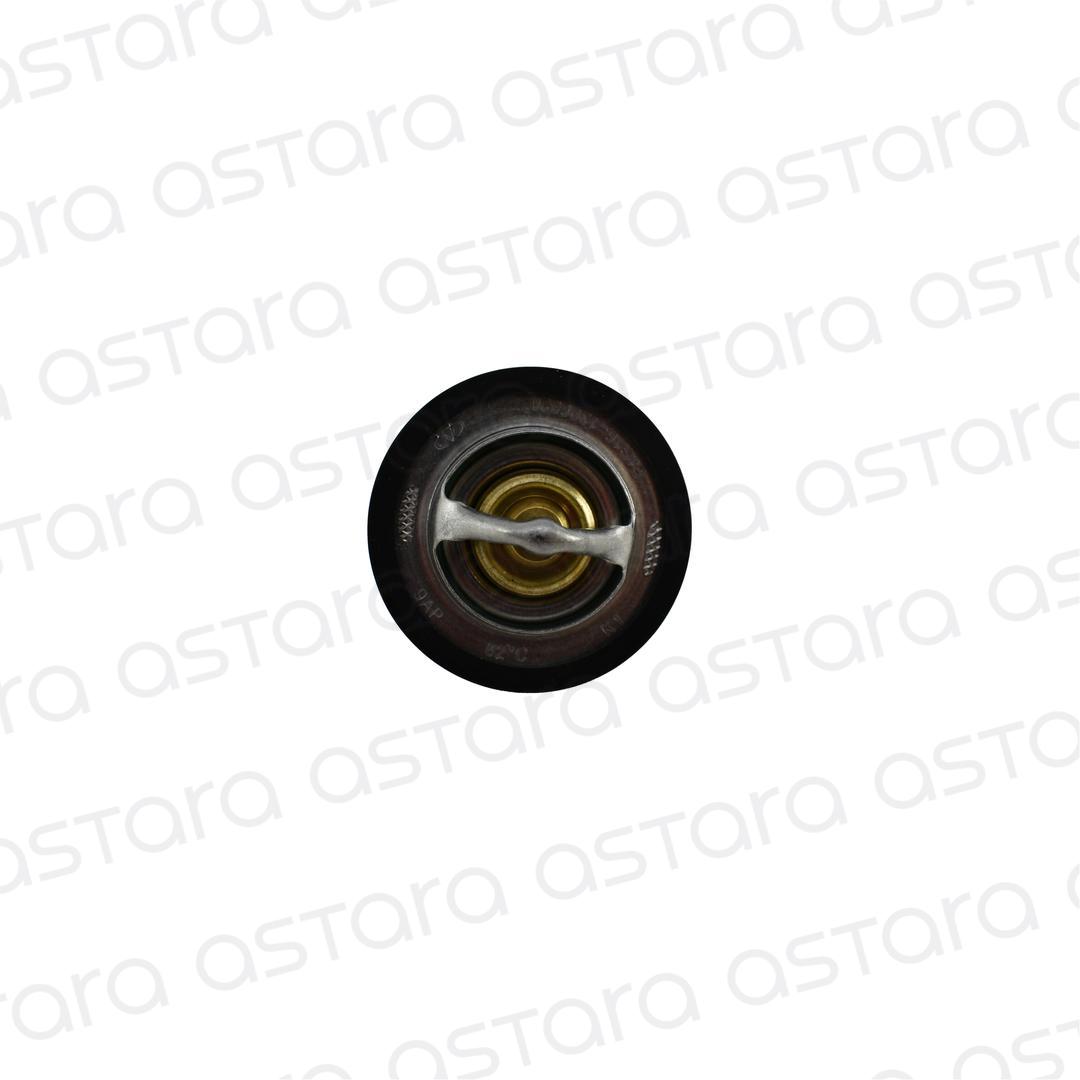 TERMOSTATO image number null