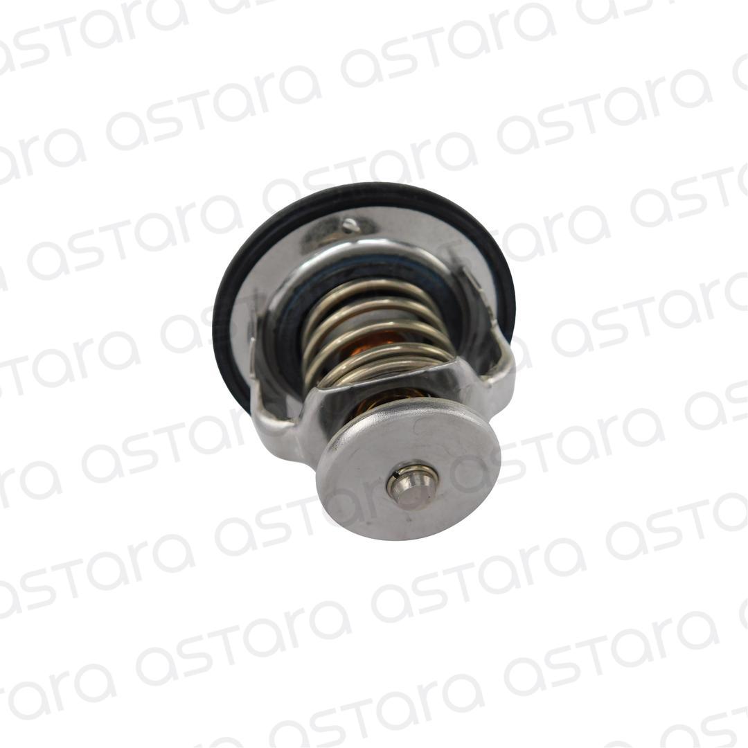 TERMOSTATO image number null