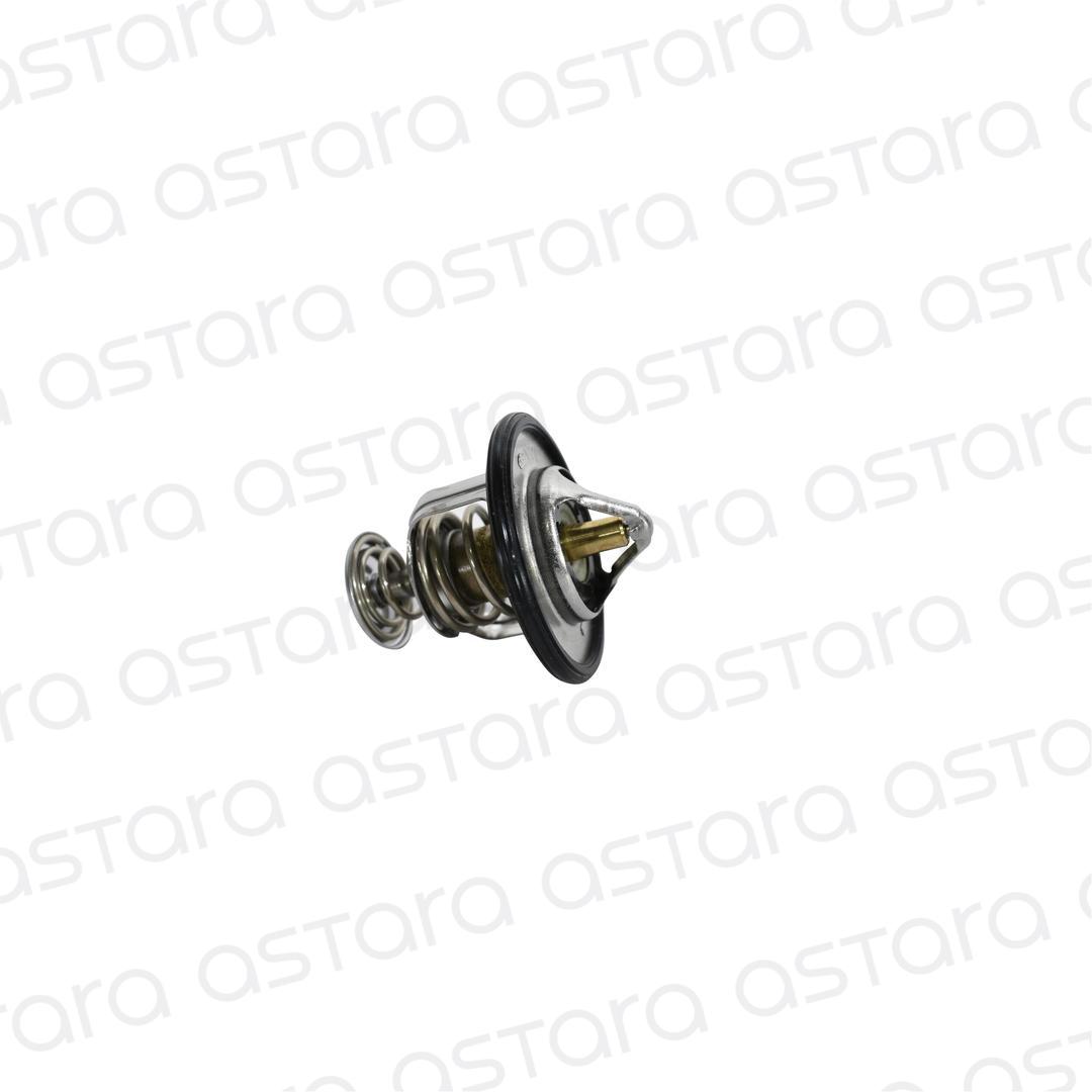 TERMOSTATO image number null