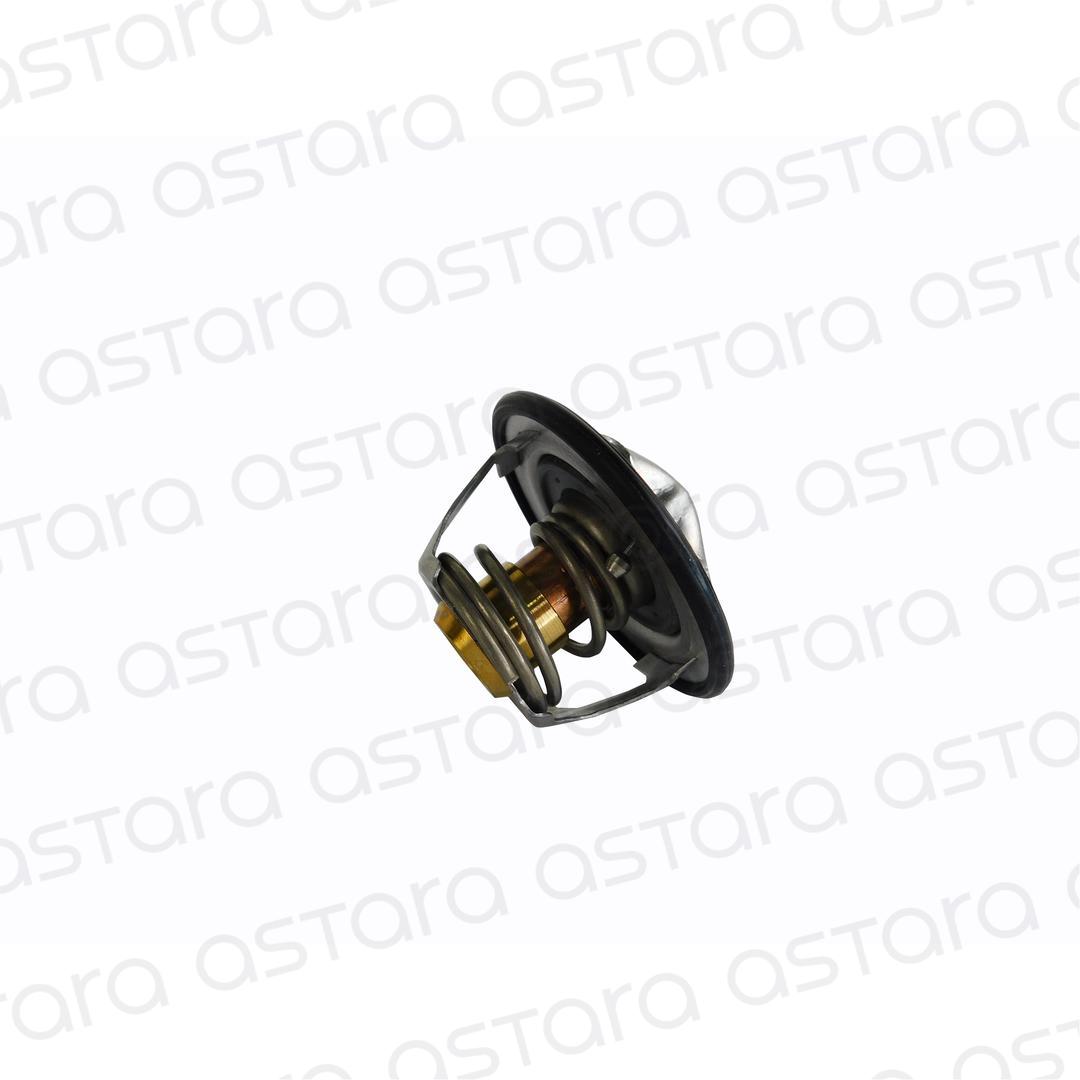 TERMOSTATO image number null
