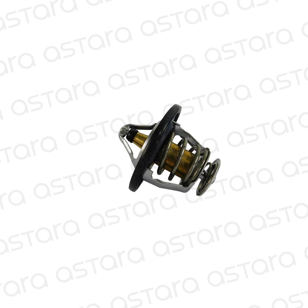 TERMOSTATO image number null