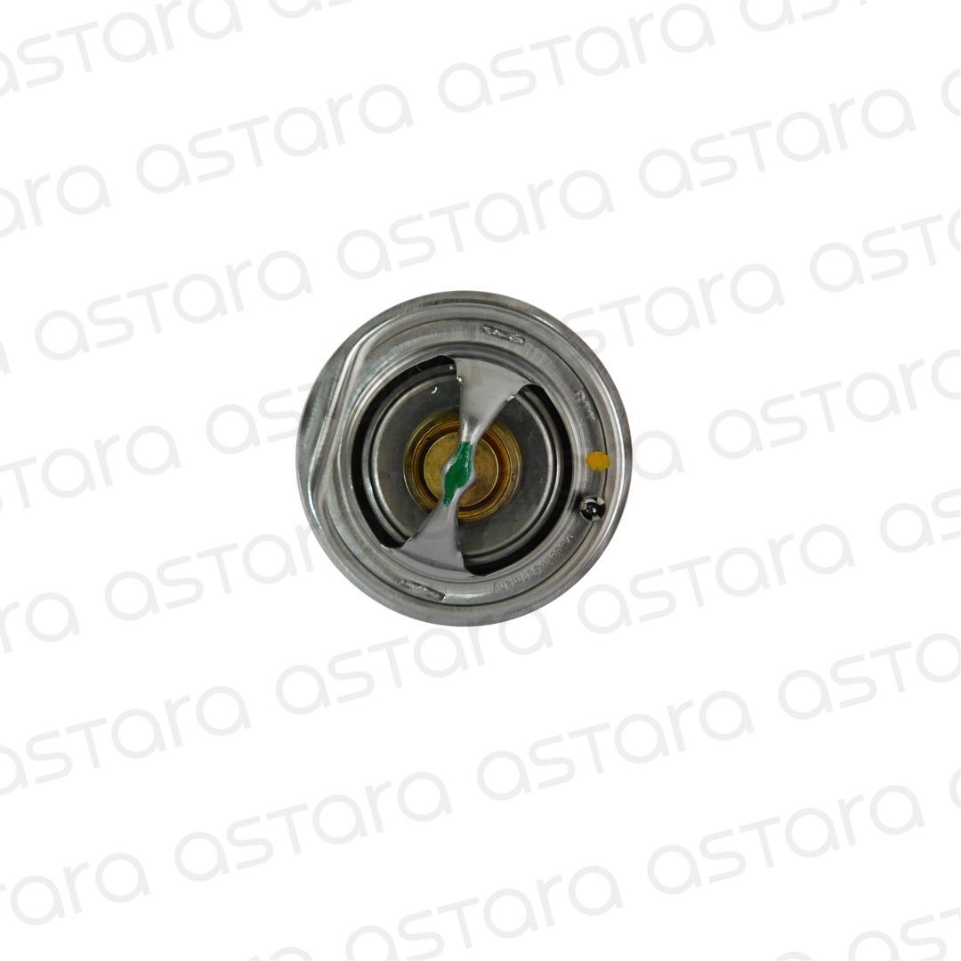 TERMOSTATO image number null