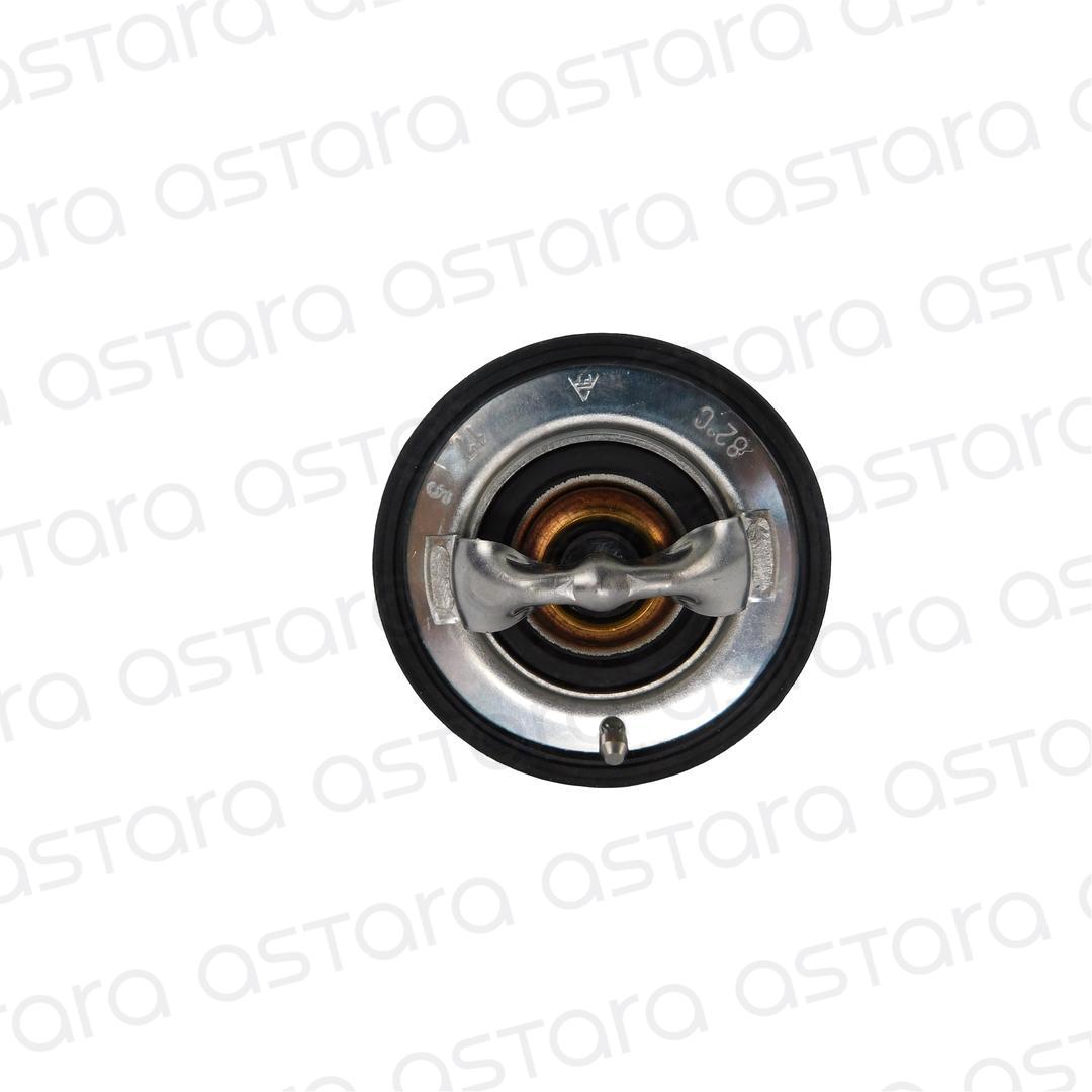 TERMOSTATO image number null