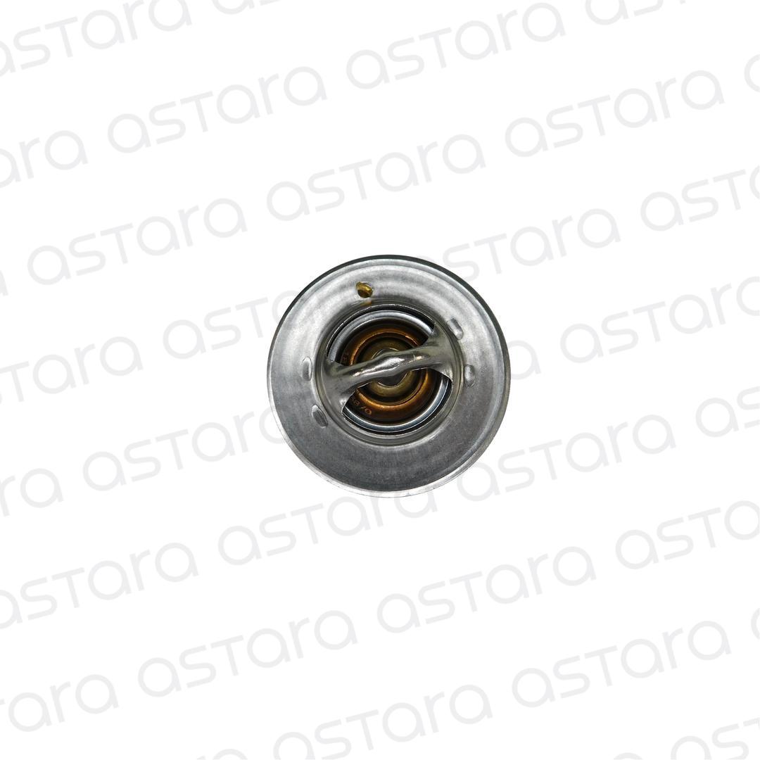 TERMOSTATO image number null