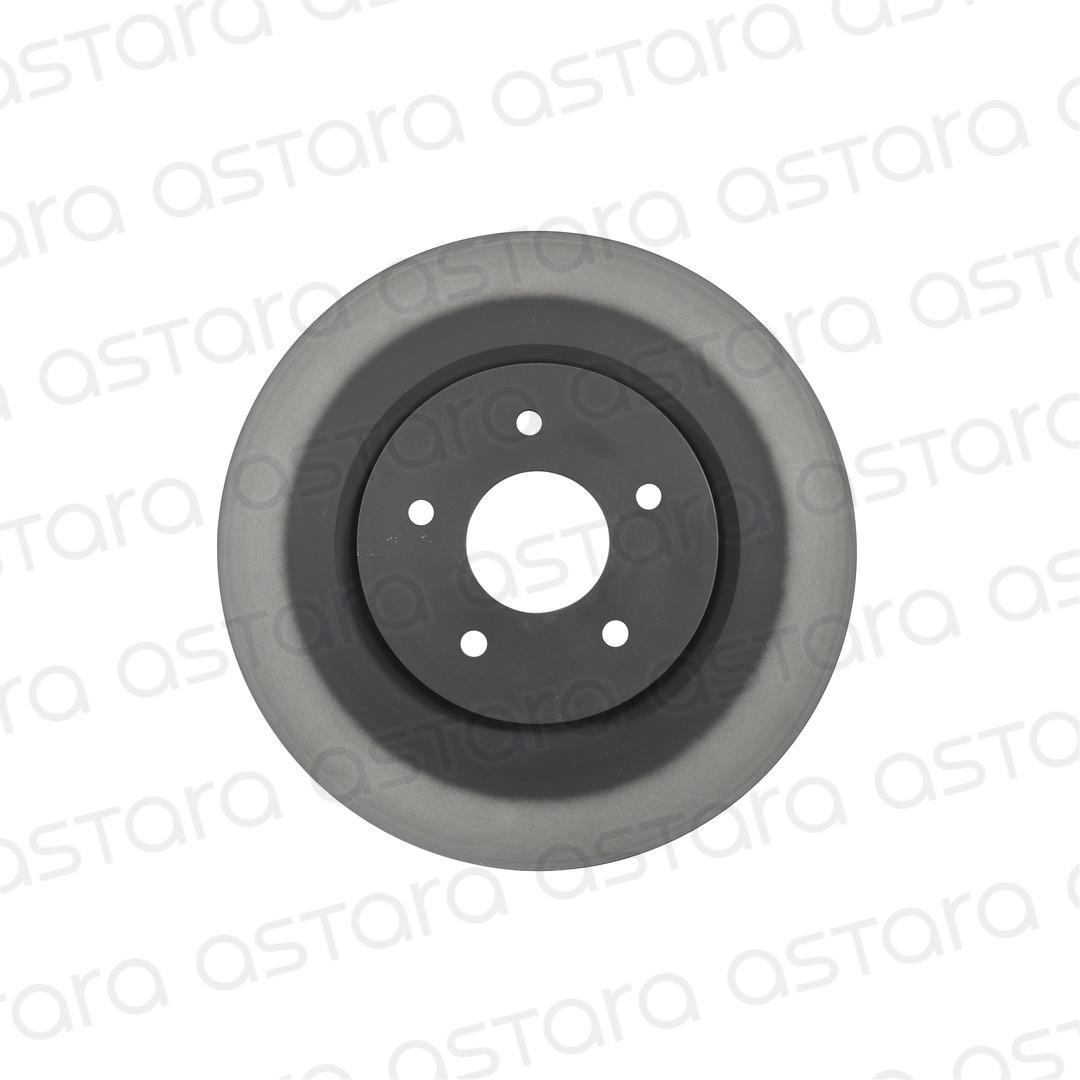 DISCO DE FRENO TRASERO image number null