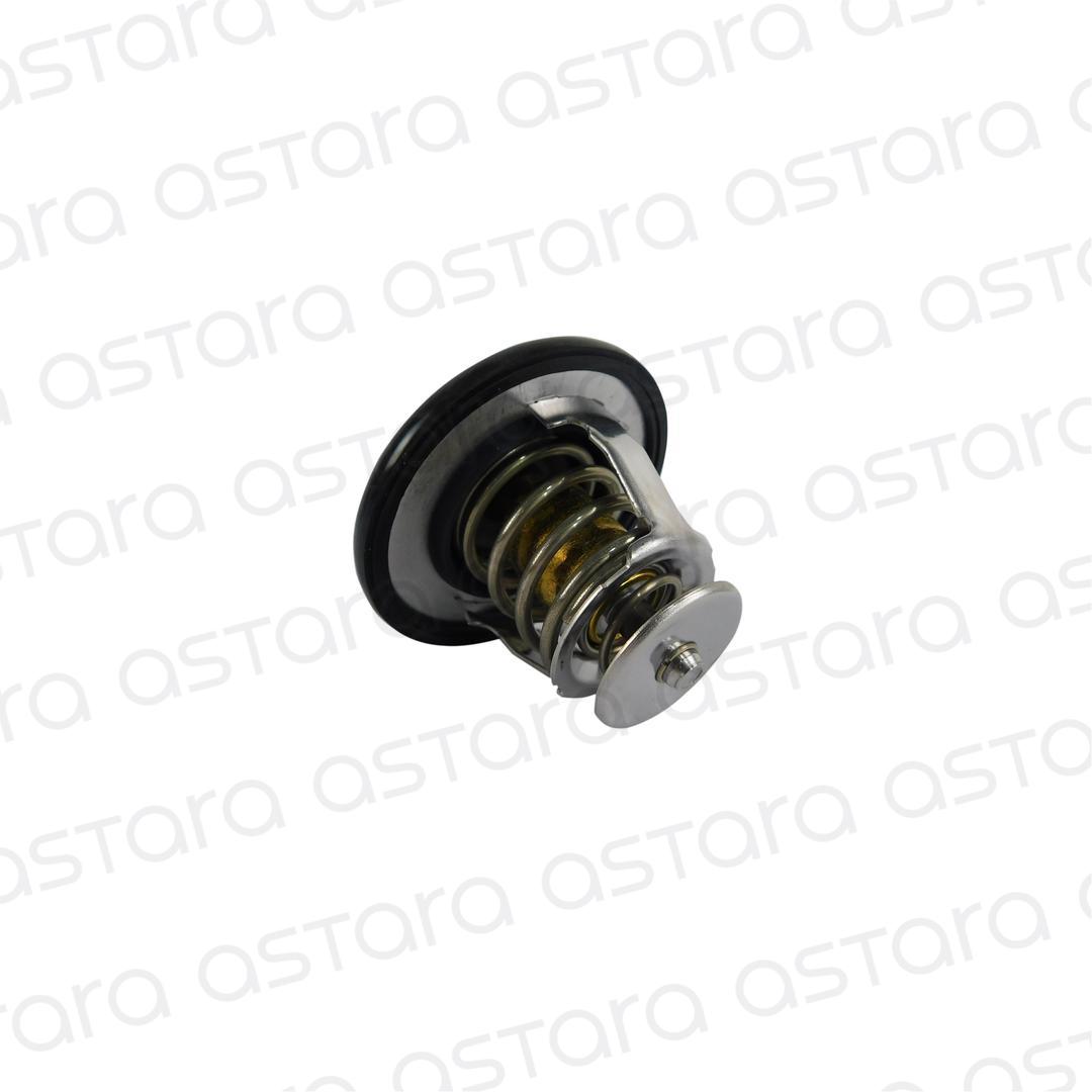 TERMOSTATO image number null