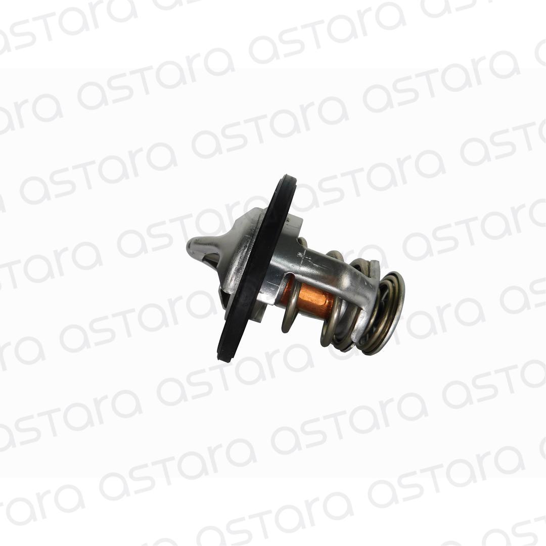 TERMOSTATO image number null