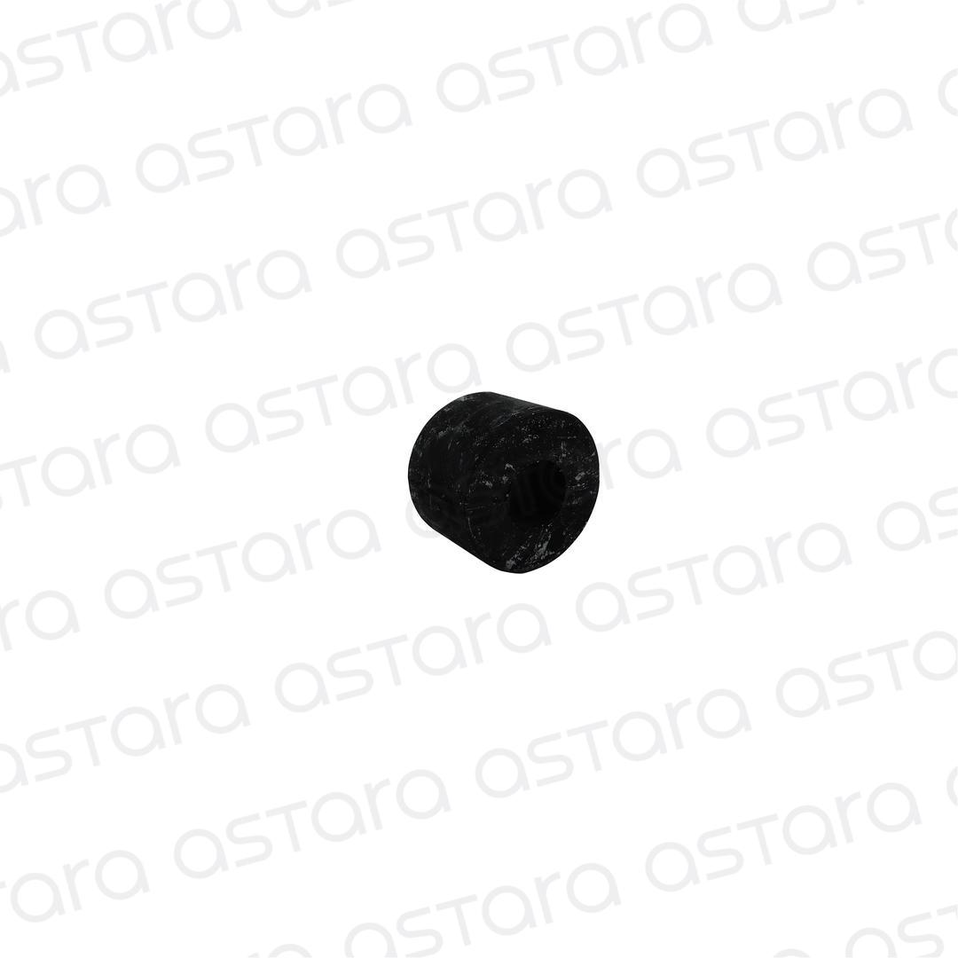 BUJE BARRA ESTABILIZADORA TRASERA image number null