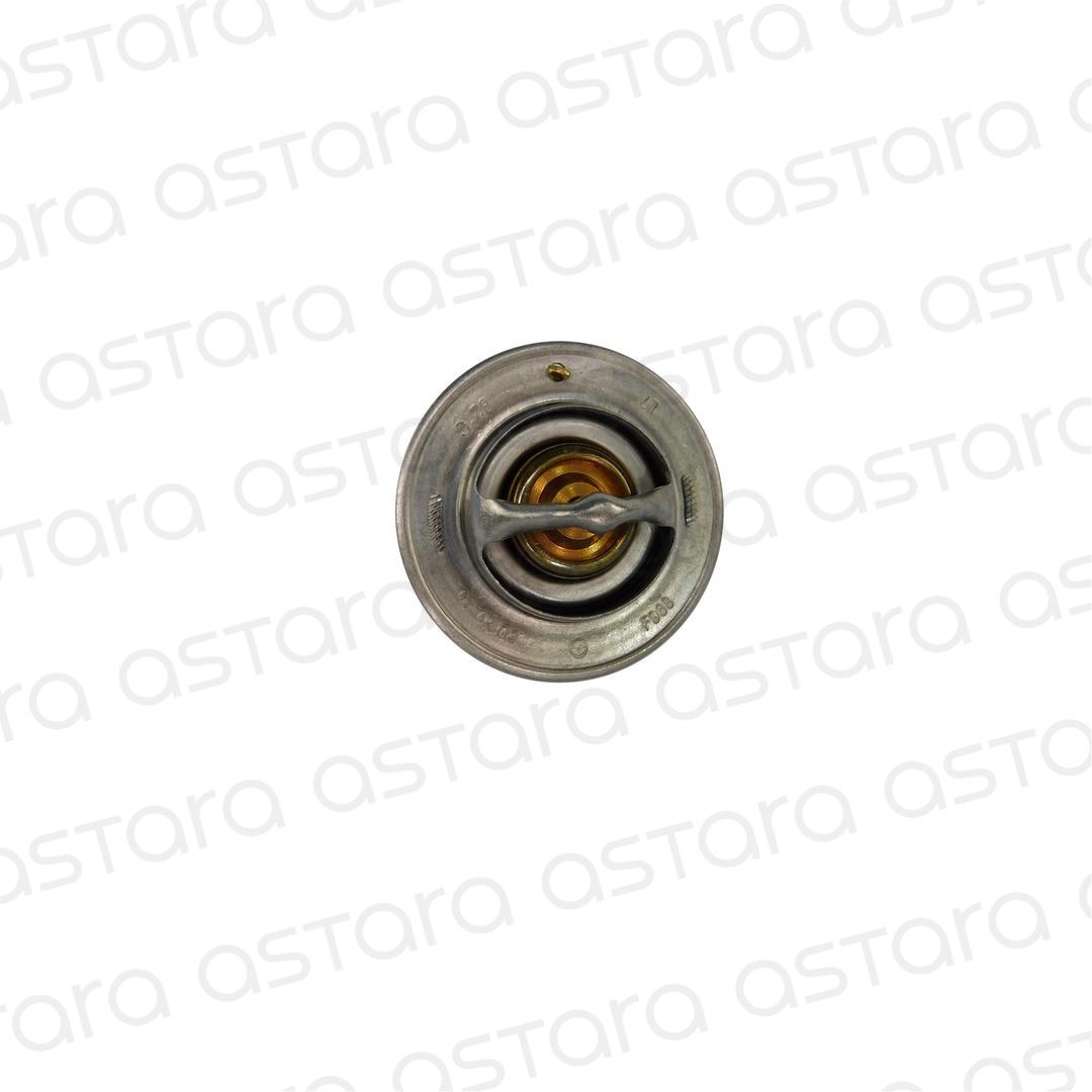 TERMOSTATO image number null