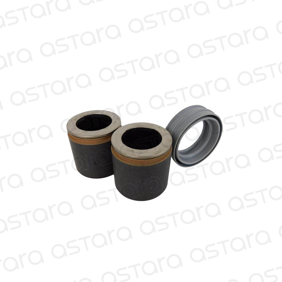 KIT PISTONES DE FRENO image number null
