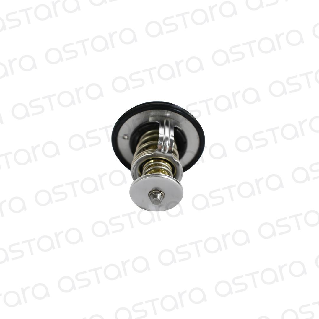 TERMOSTATO image number null