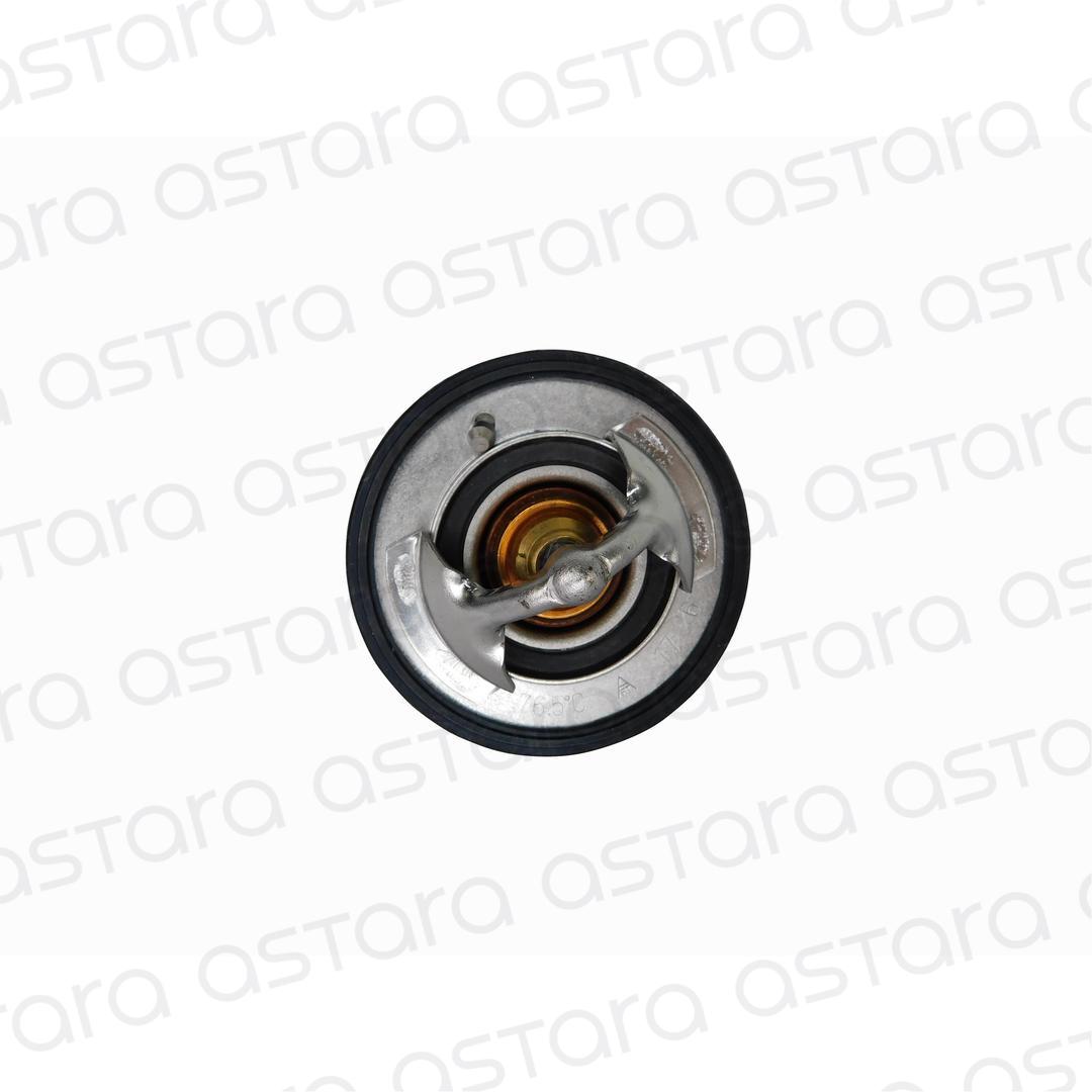 TERMOSTATO image number null