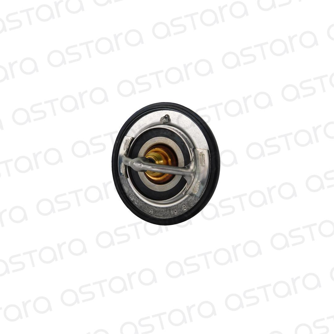 TERMOSTATO image number null