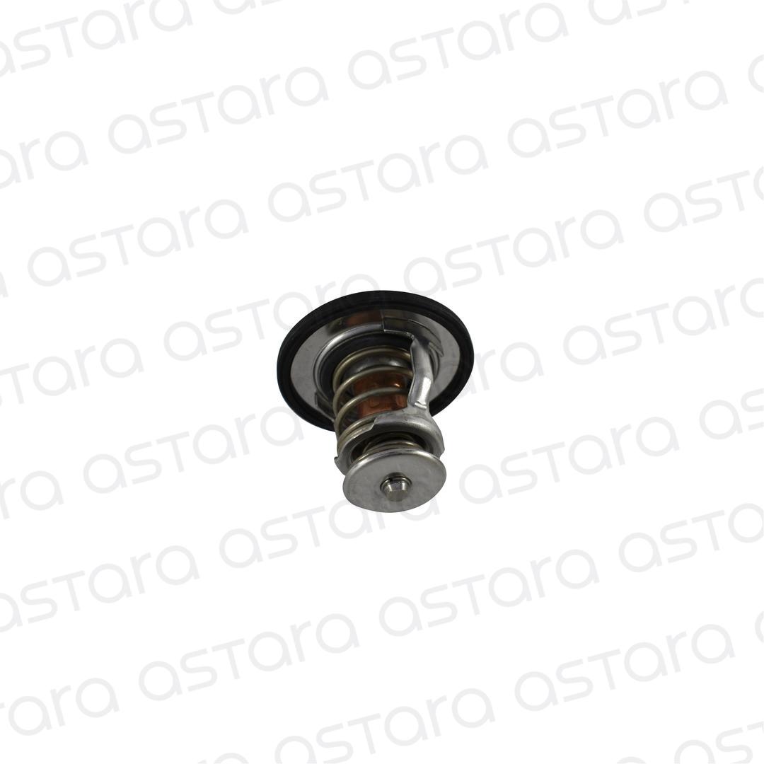 TERMOSTATO image number null