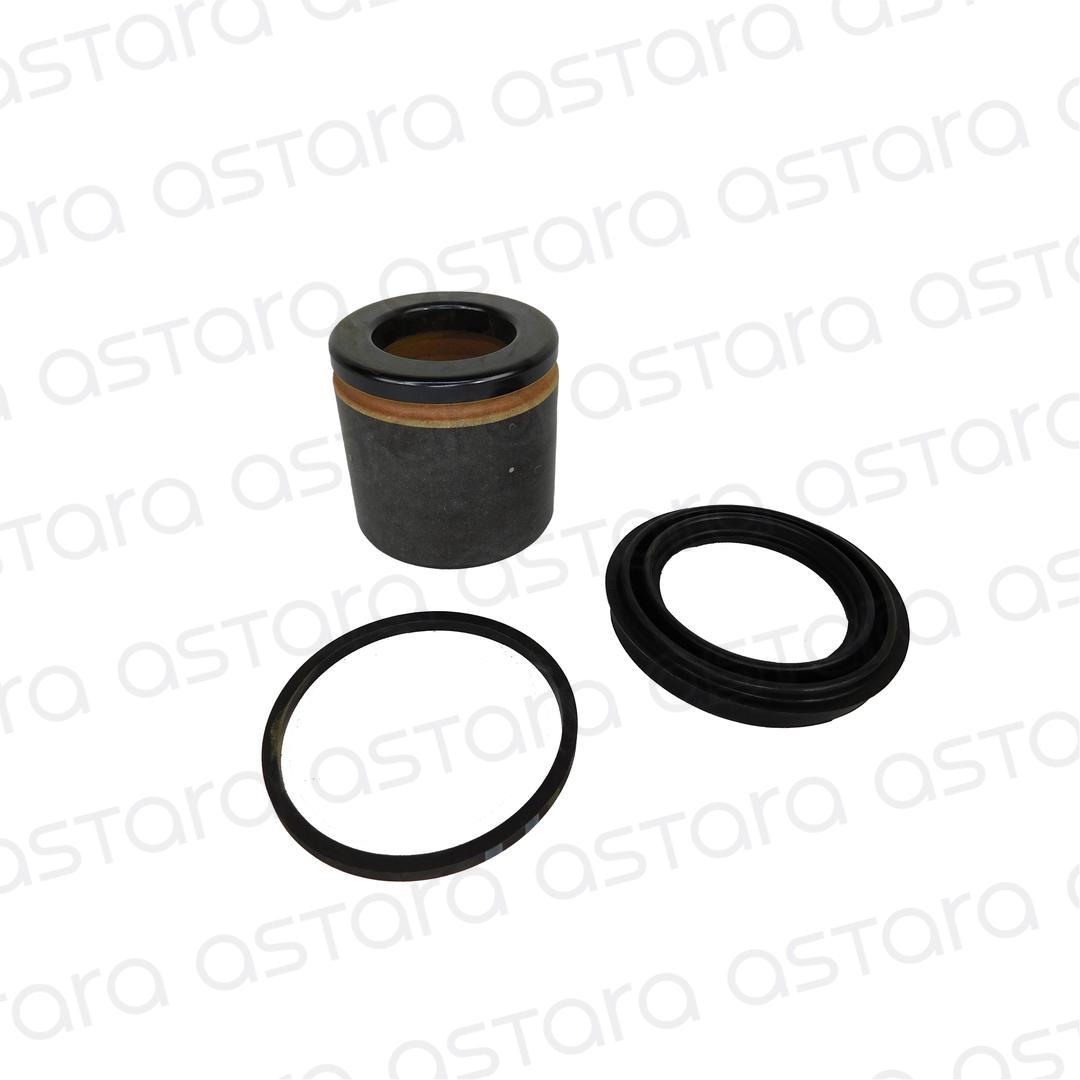 PISTON CALIPER FRENO  DS09 image number null