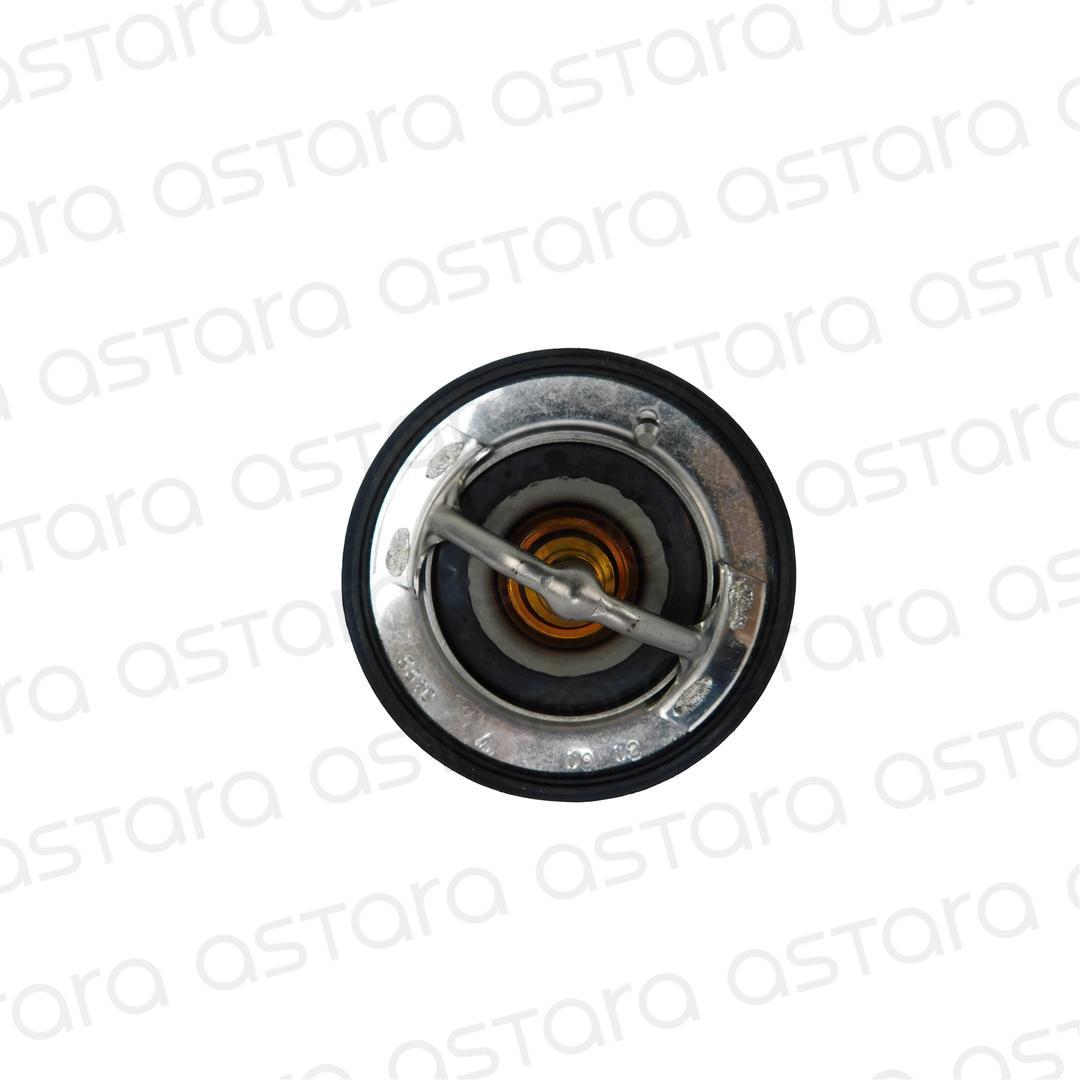TERMOSTATO image number null