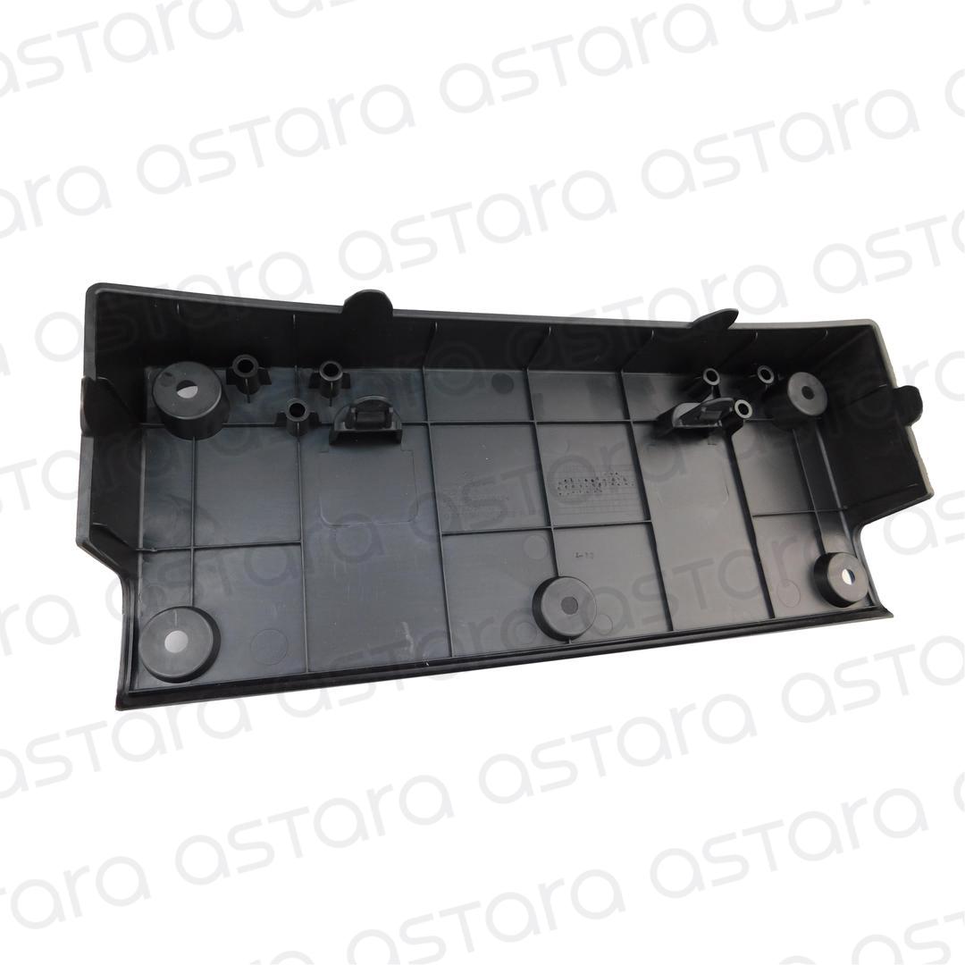 EMBELLECEDOR PORTA PATENTE DELANTERO image number null