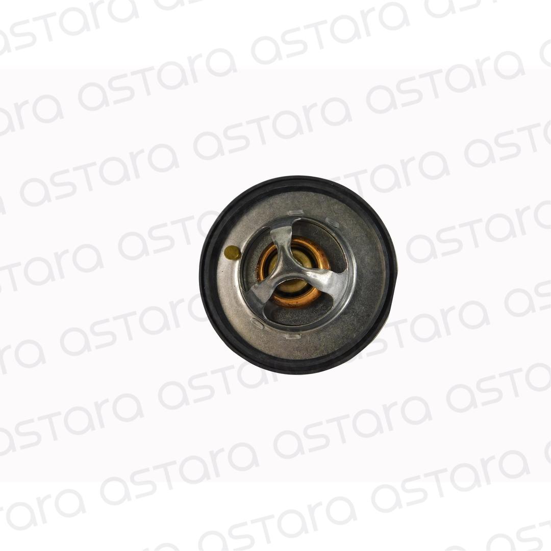 TERMOSTATO image number null