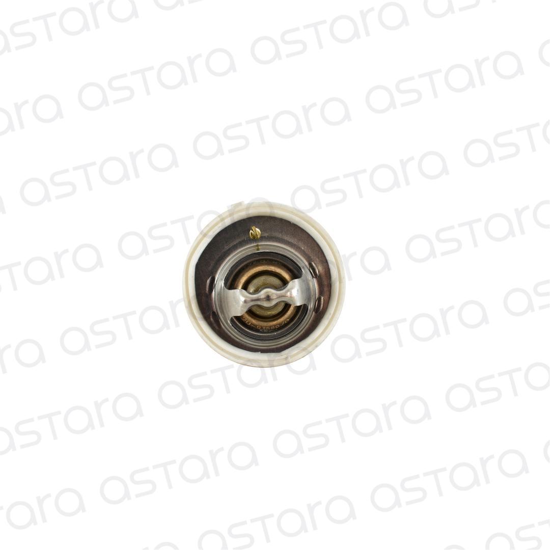 TERMOSTATO image number null