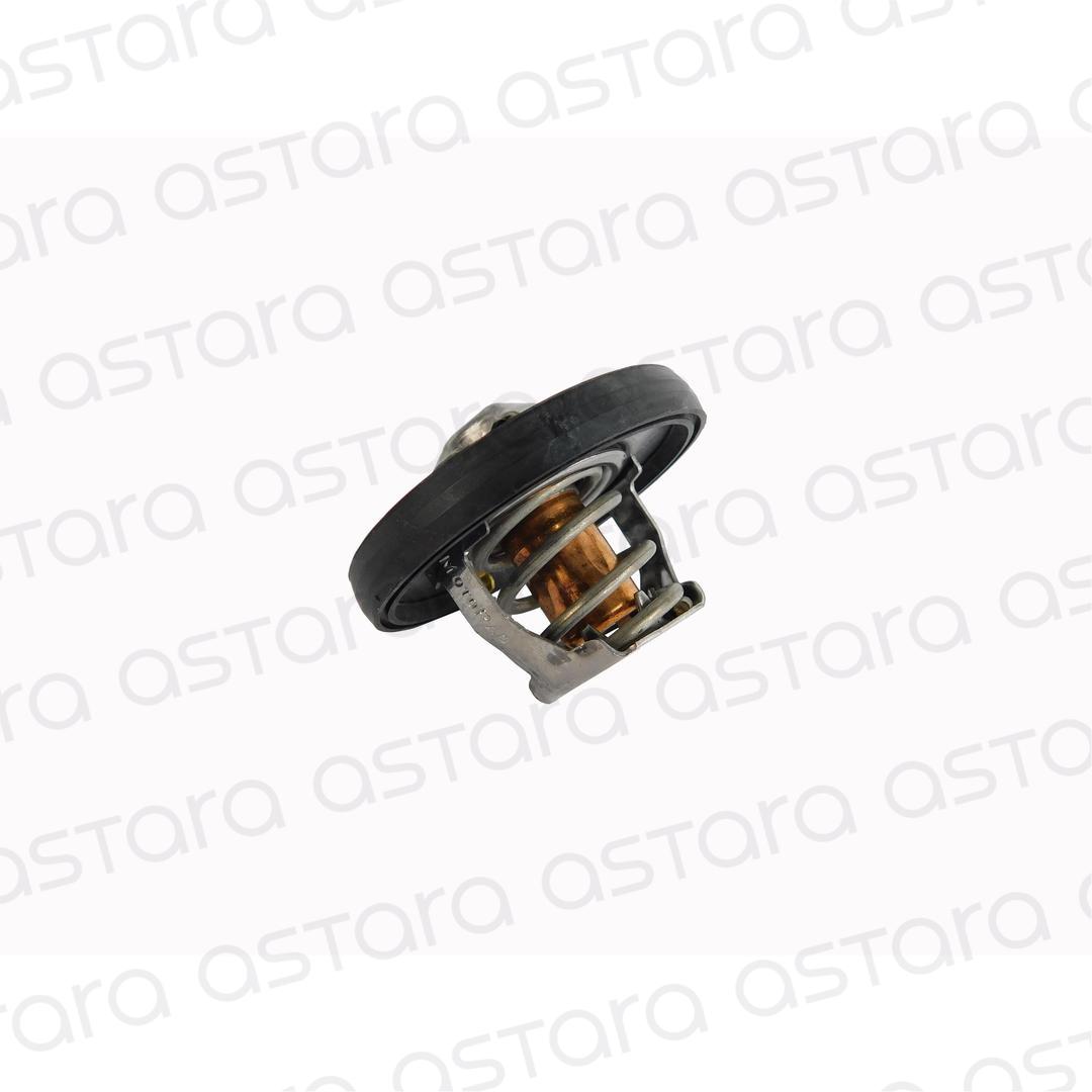 TERMOSTATO image number null