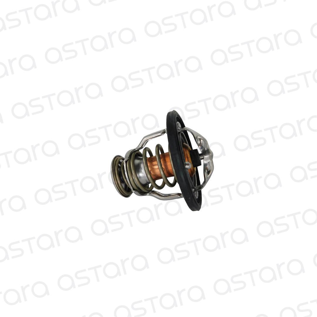 TERMOSTATO image number null