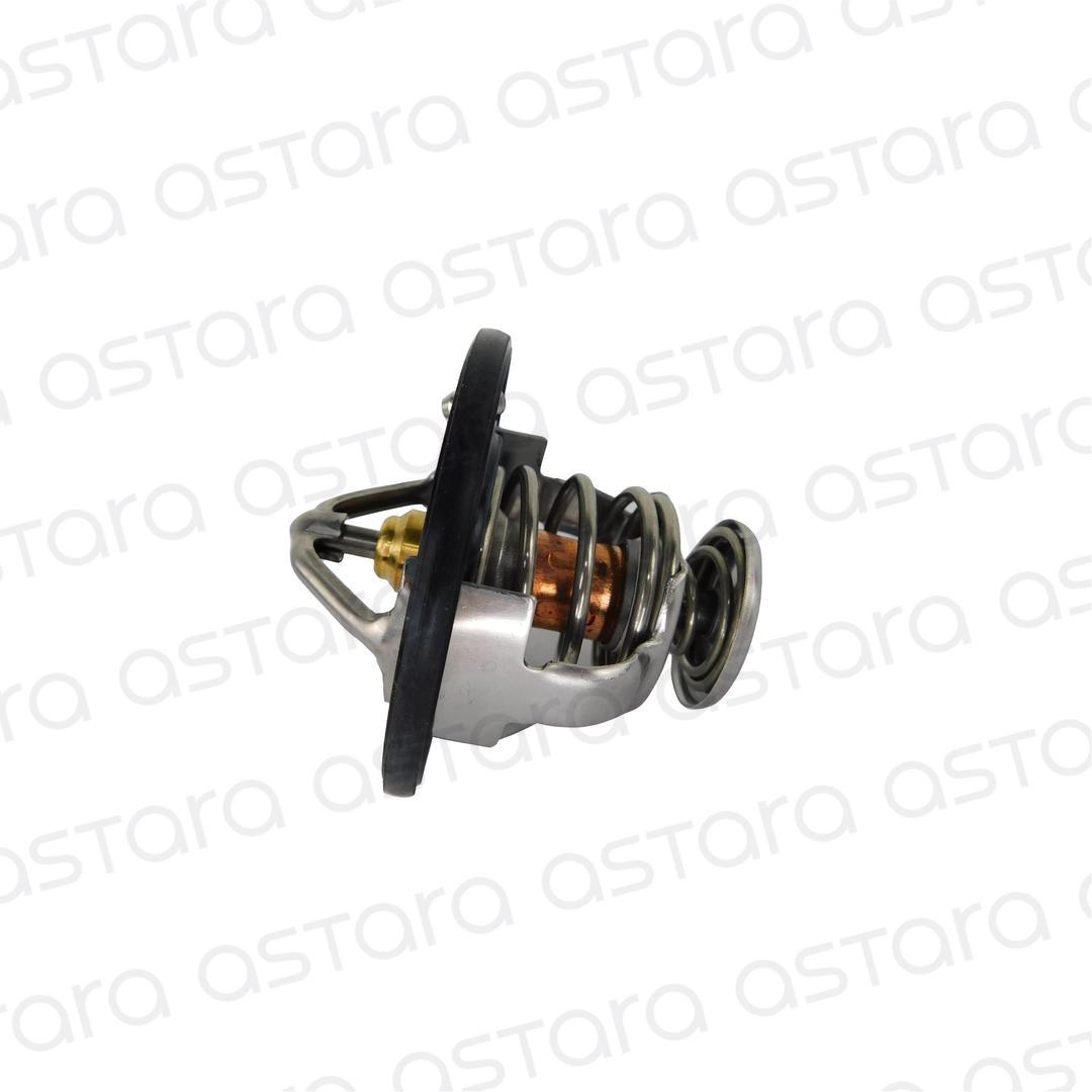 TERMOSTATO image number null