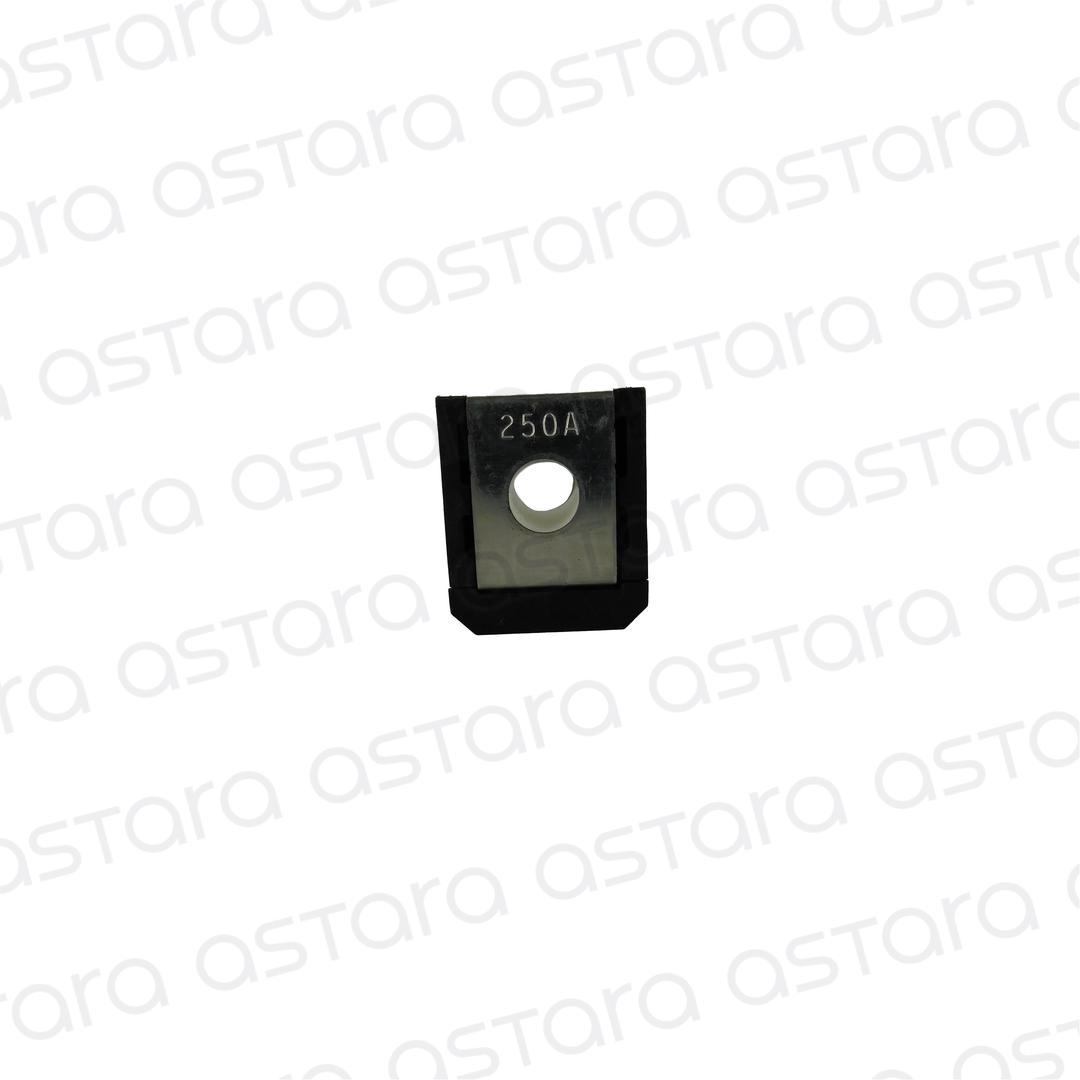 FUSIBLE 250 AMP image number null