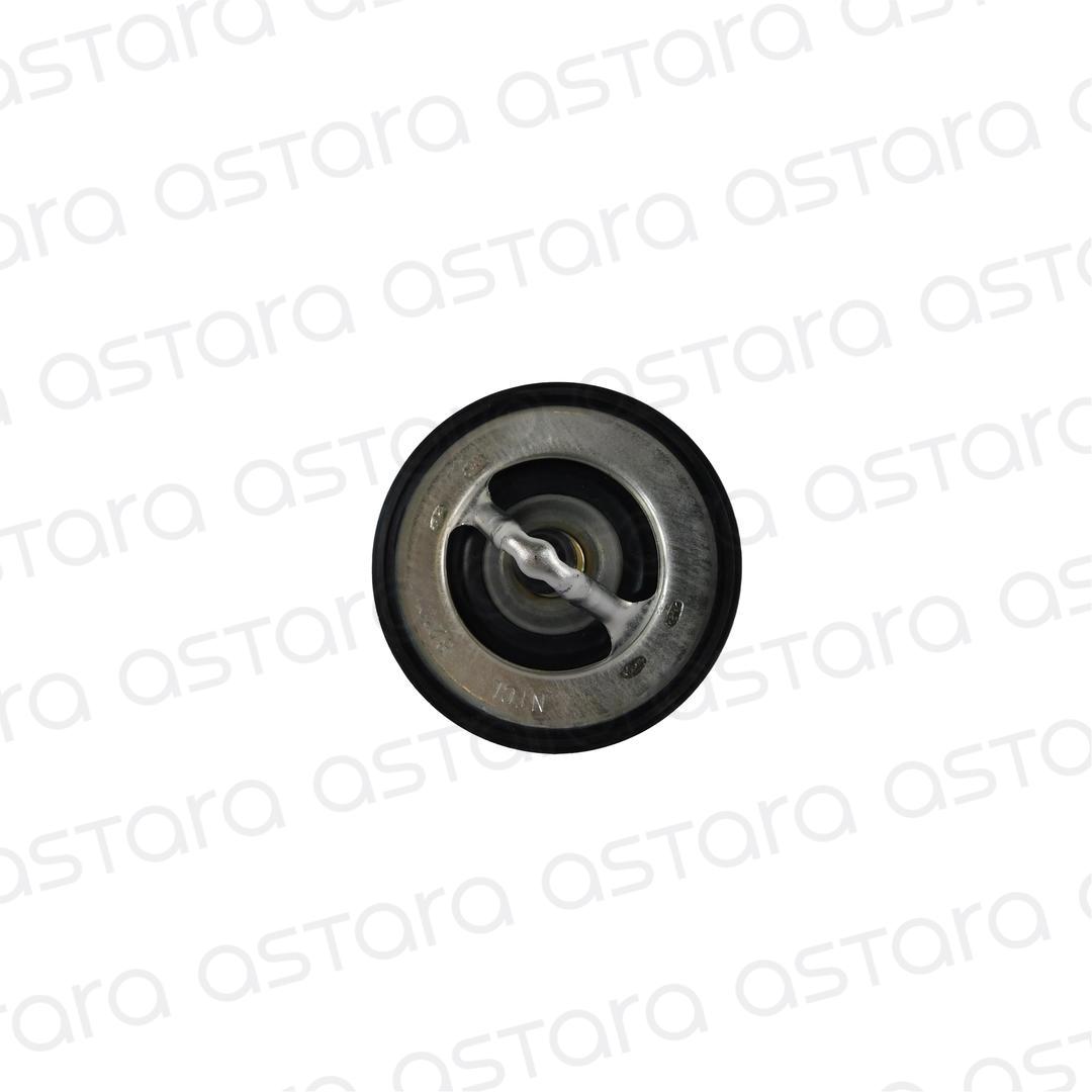 TERMOSTATO image number null