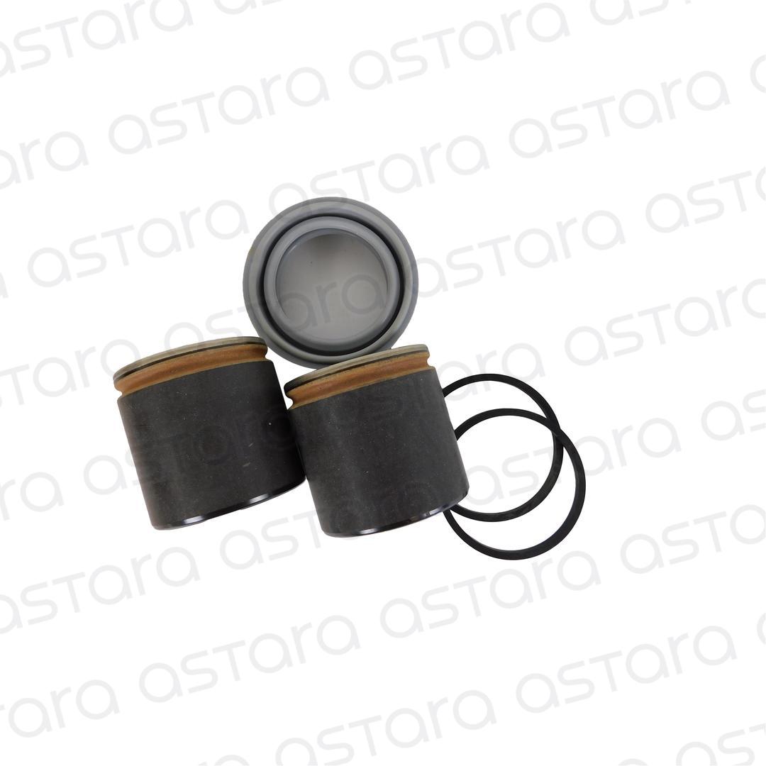 KIT PISTONES DE FRENO image number null