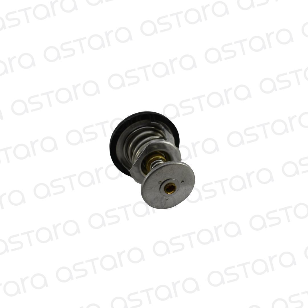 TERMOSTATO image number null