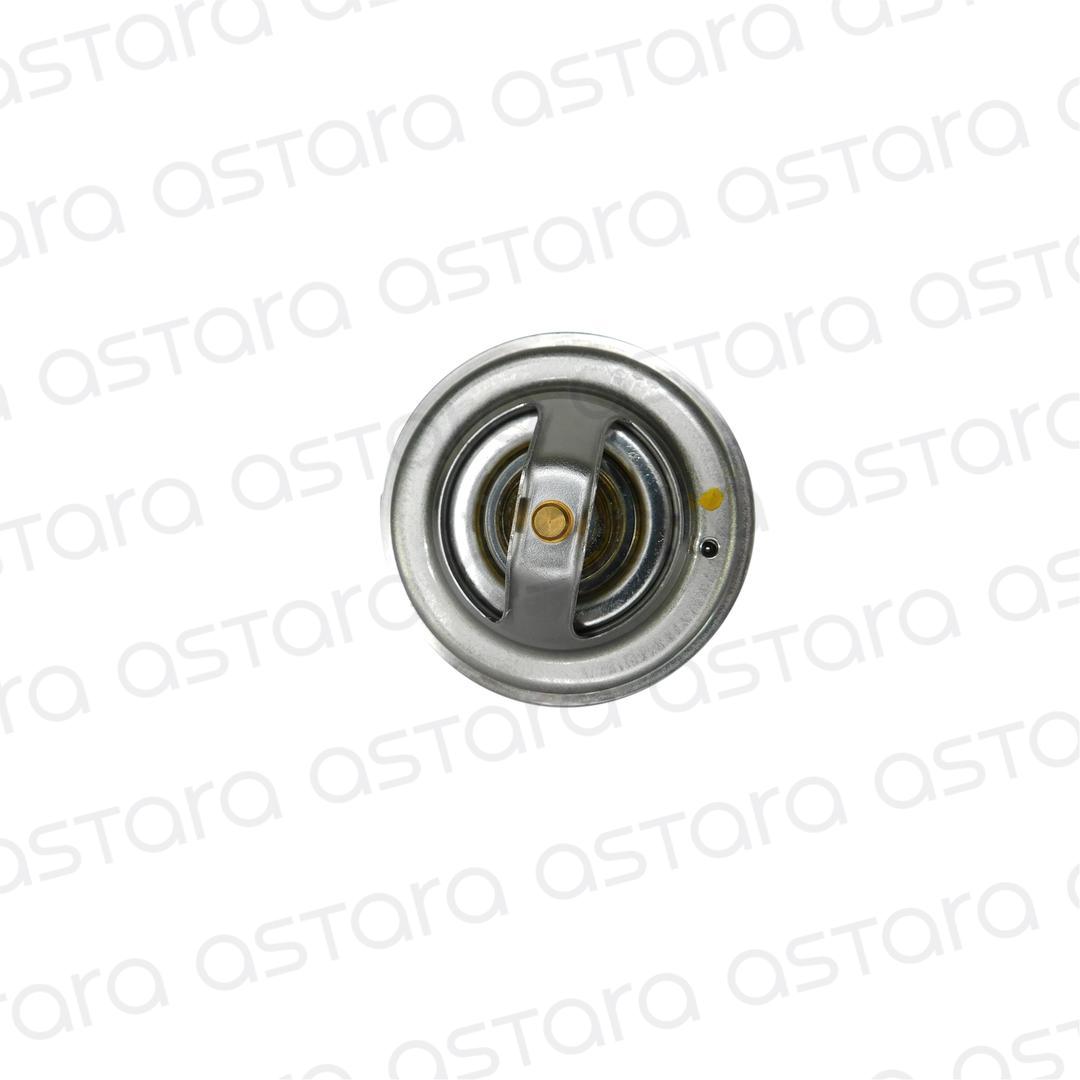 TERMOSTATO image number null