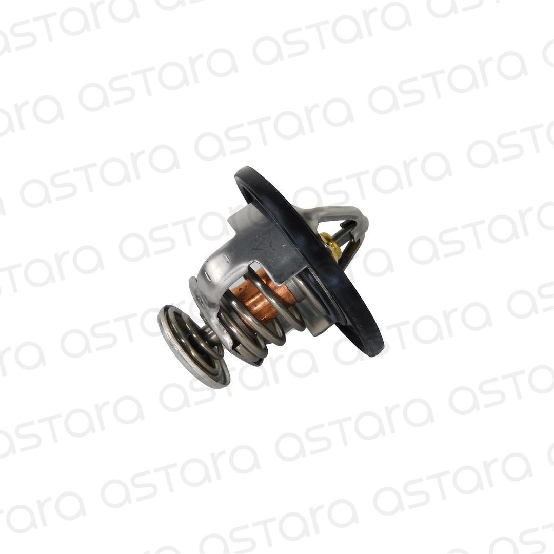 TERMOSTATO image number null