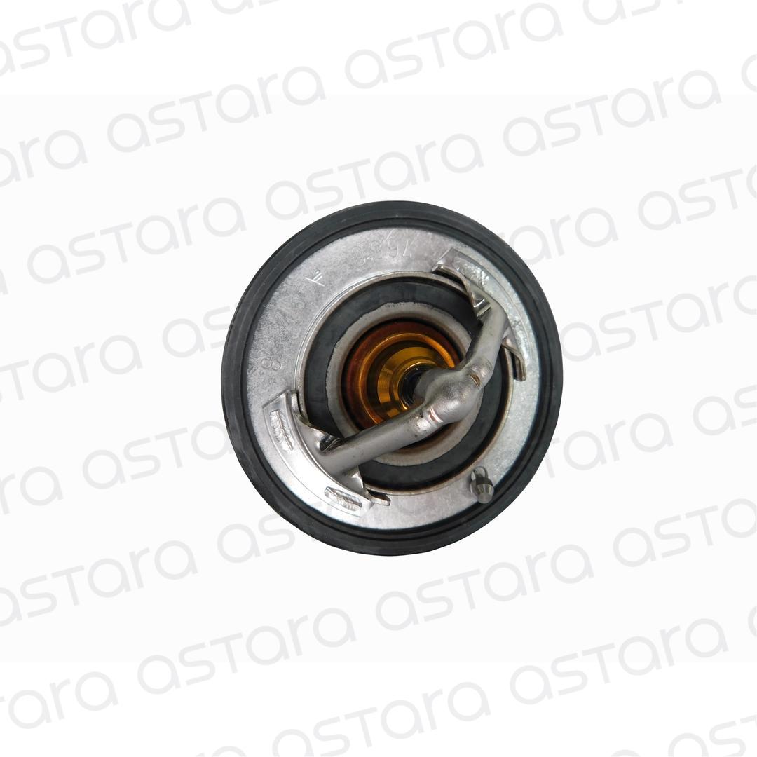 TERMOSTATO image number null