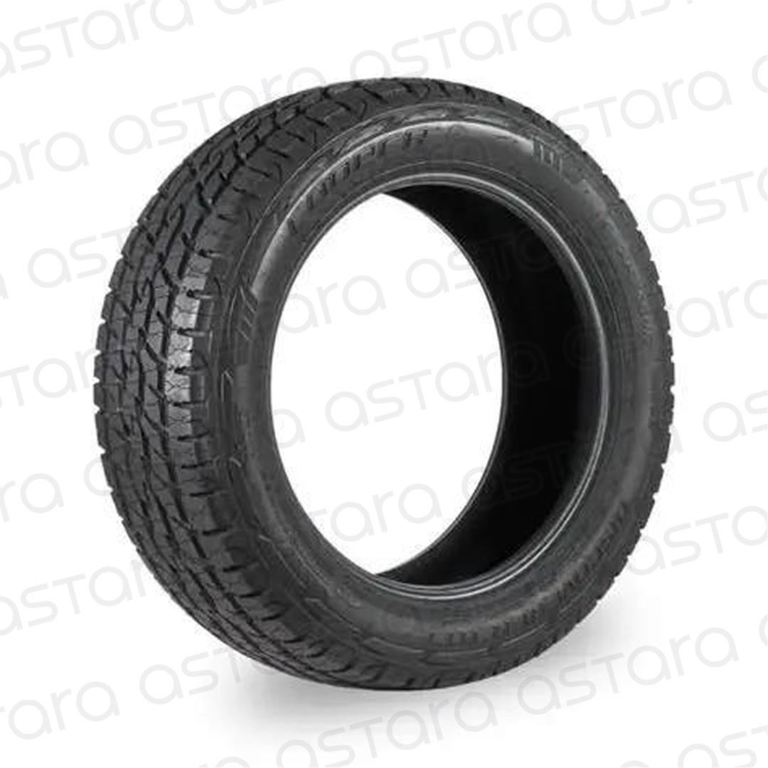 NEUM 255/55R19 COOPER DISCOVERER ATT image number null