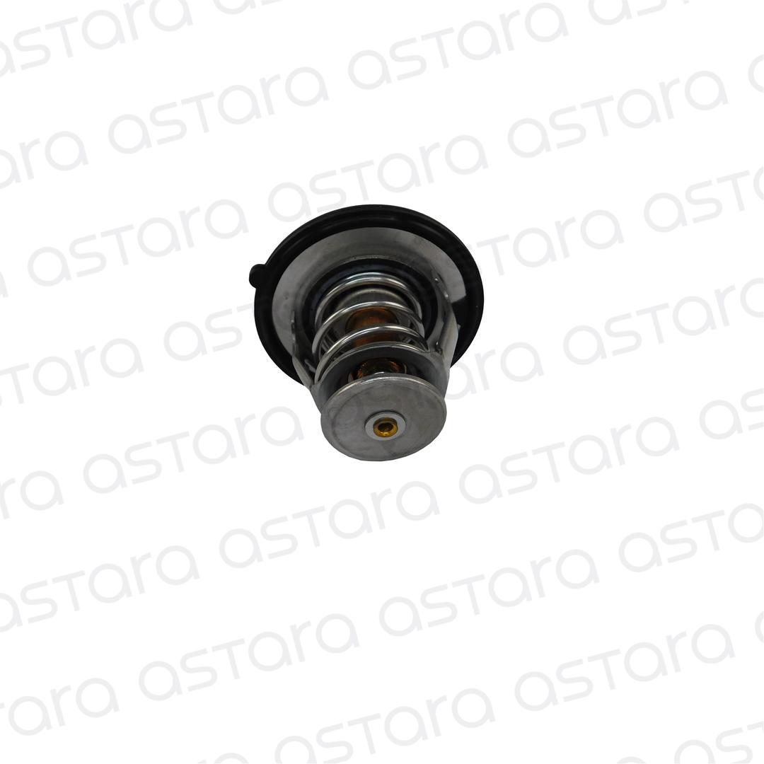 TERMOSTATO image number null