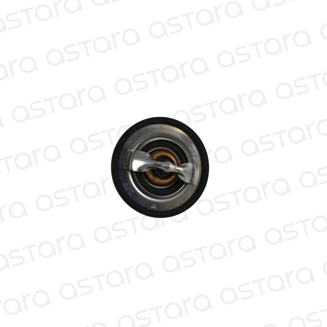 TERMOSTATO image number null