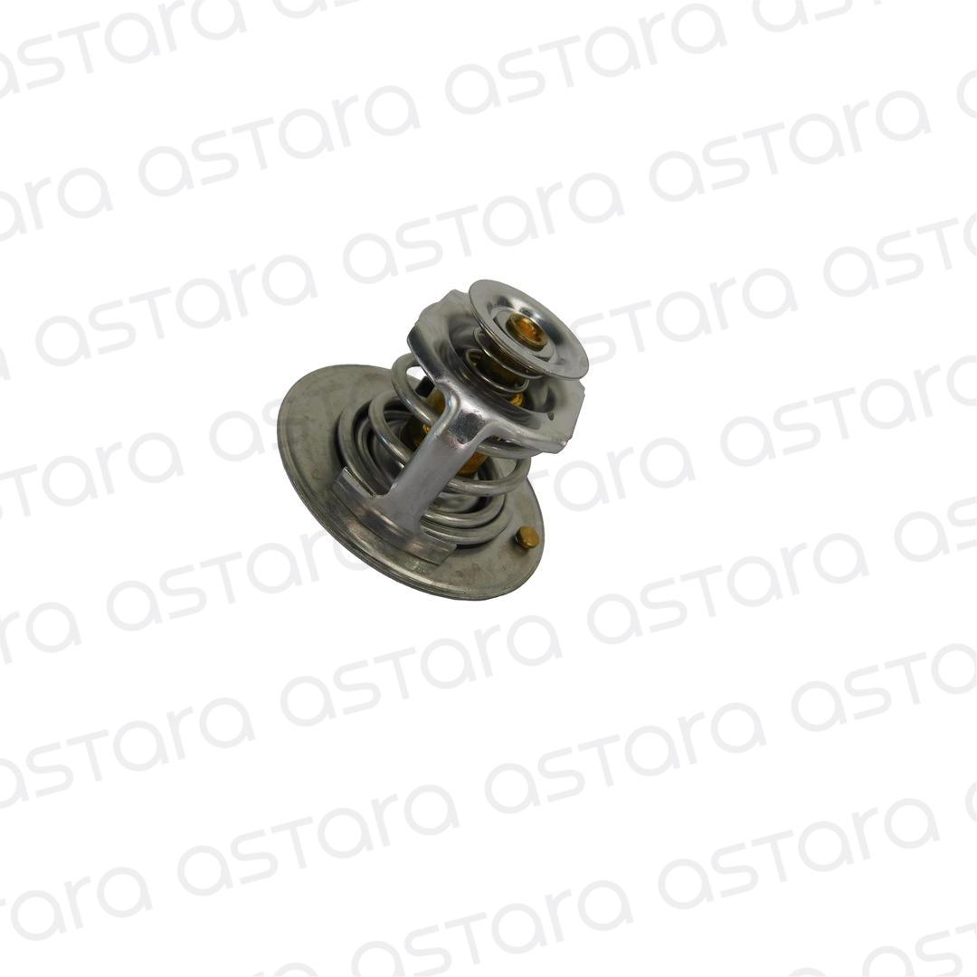 TERMOSTATO image number null