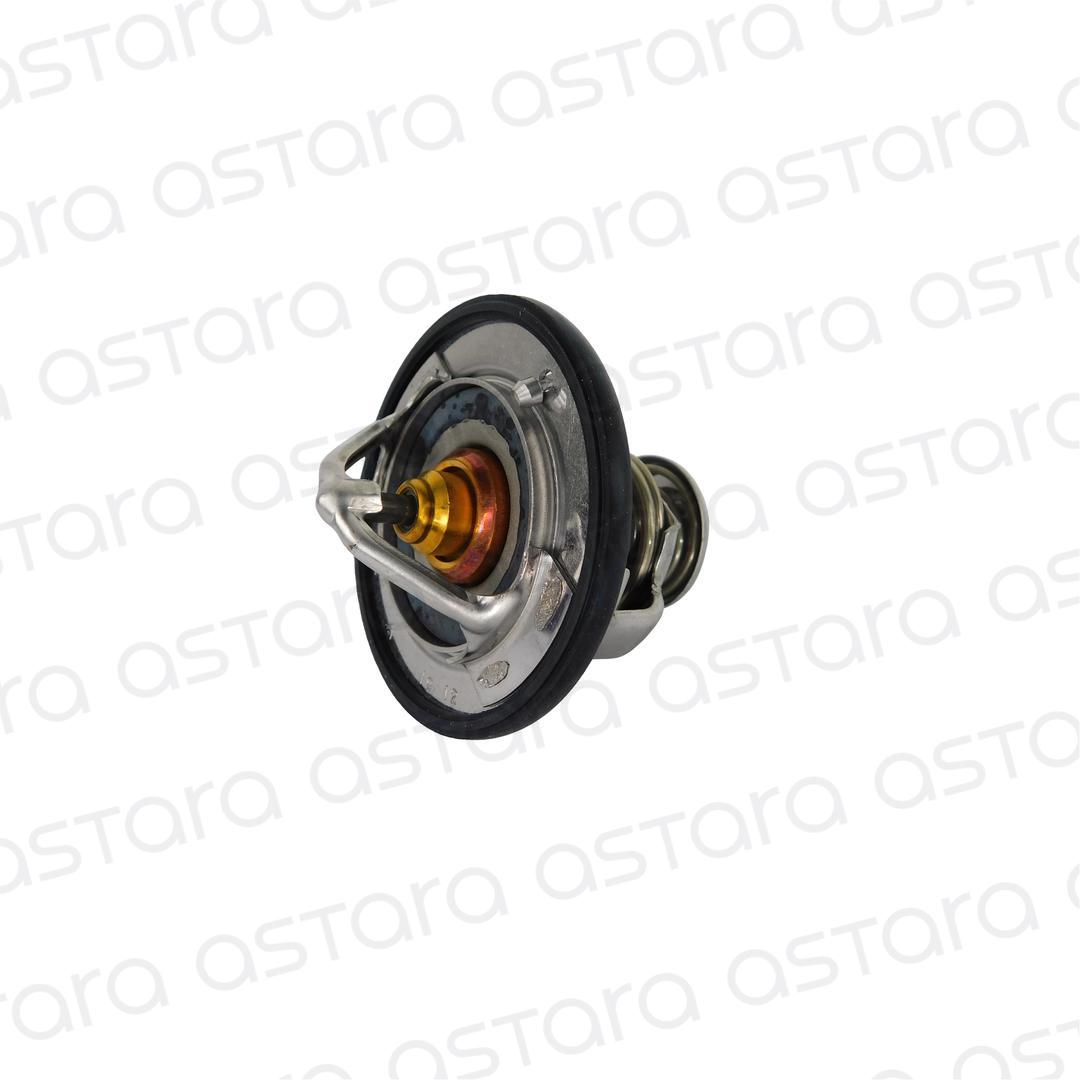 TERMOSTATO image number null