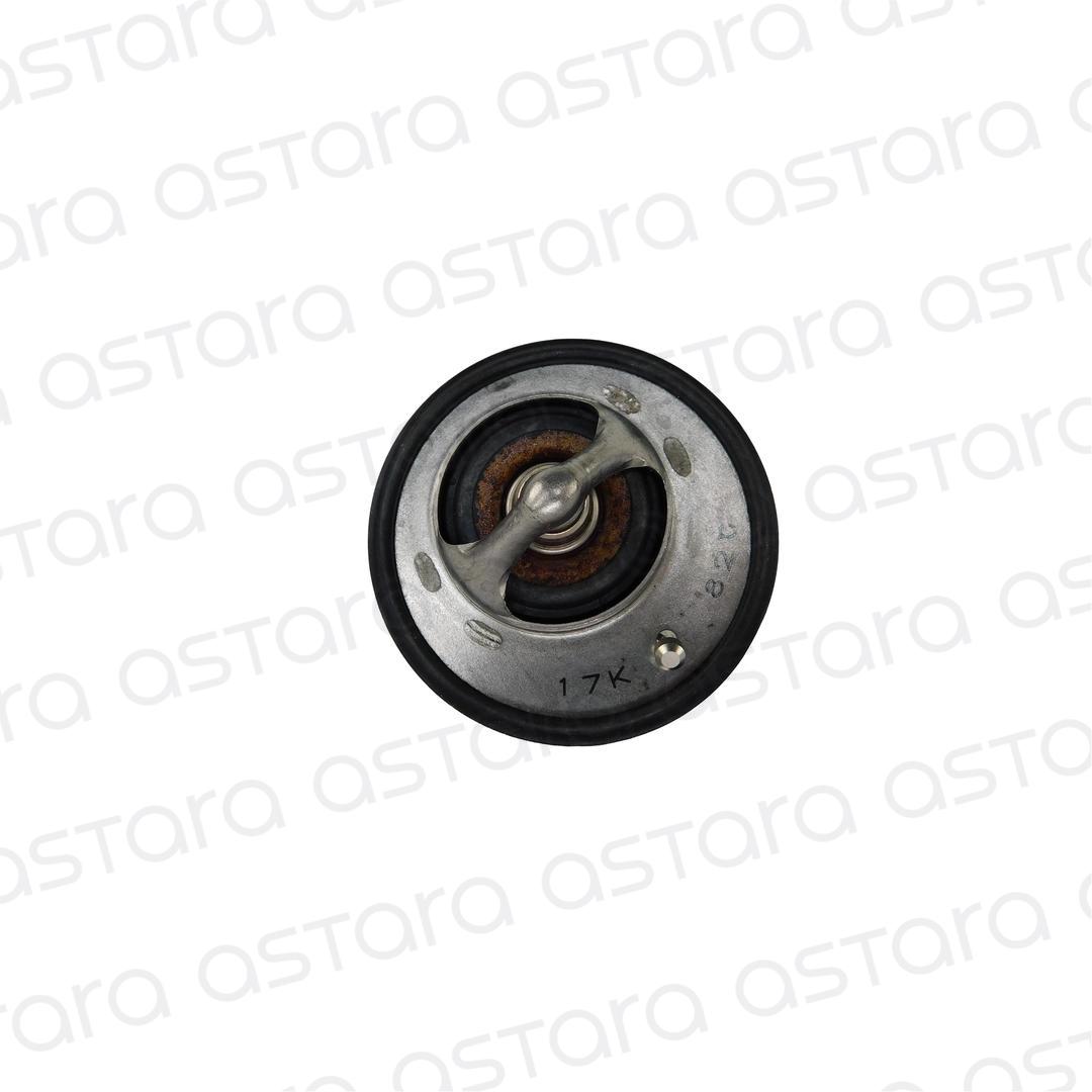 TERMOSTATO image number null