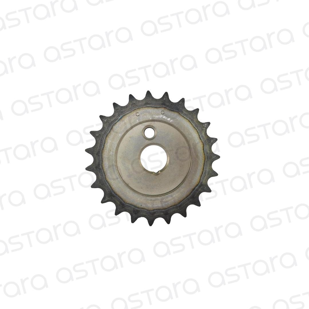 PINON image number null