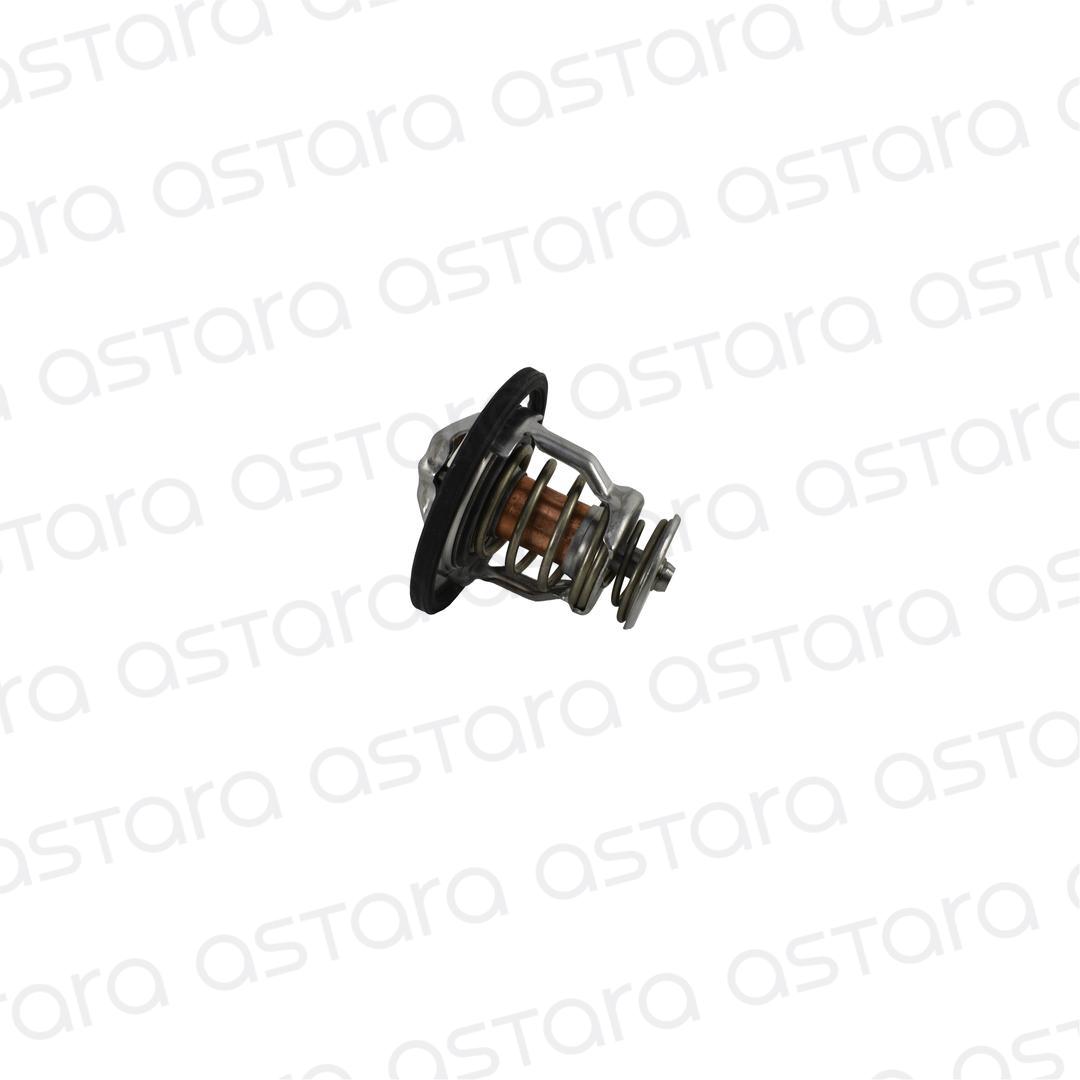 TERMOSTATO image number null