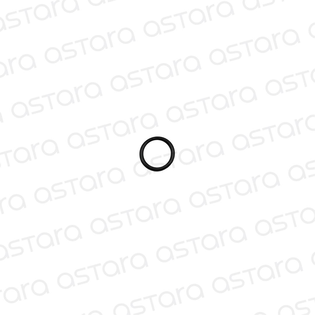 ORING INTERIOR image number null