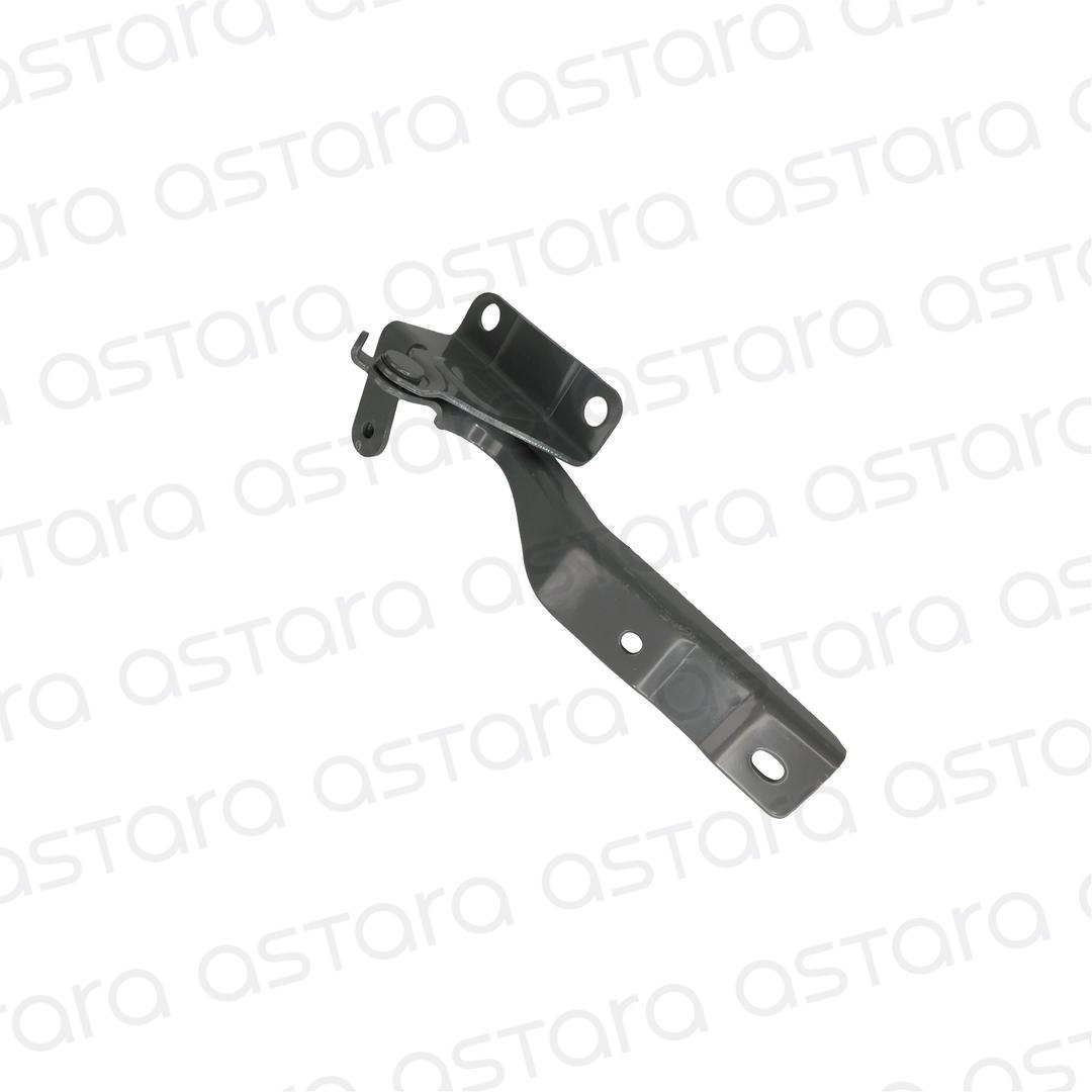 BISAGRA DE CAPOT IZQUIERDA image number null