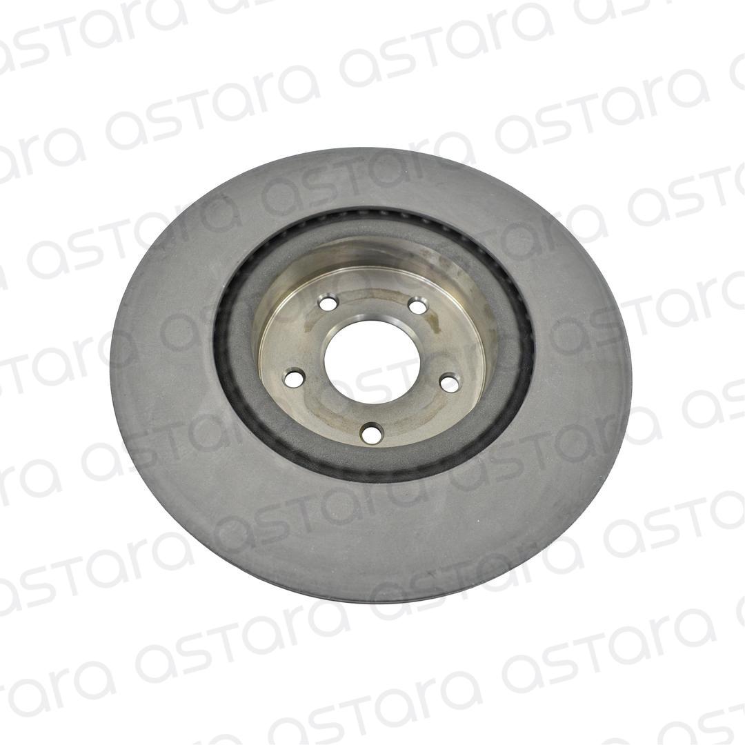 DISCO DE FRENO TRASERO image number null