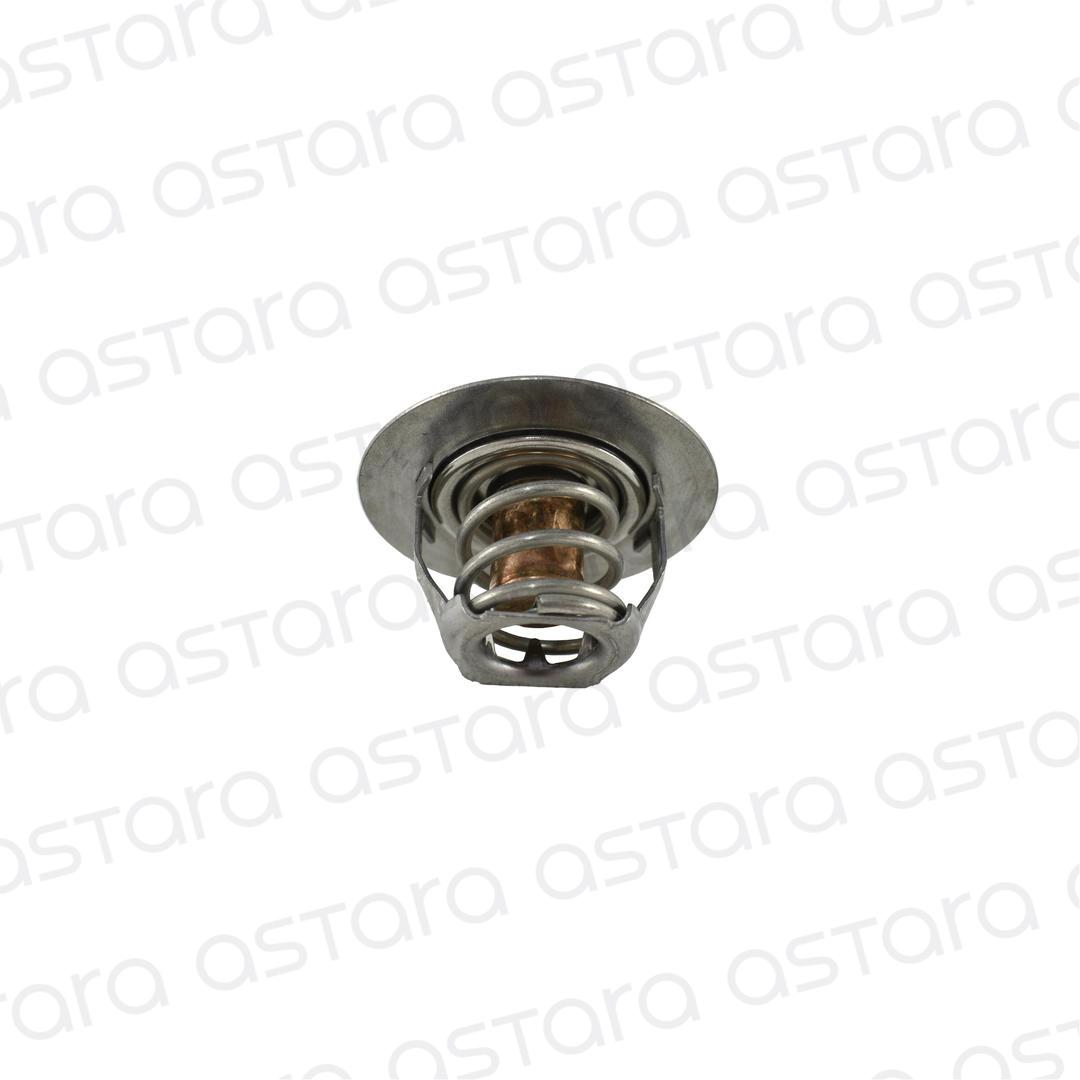 TERMOSTATO image number null