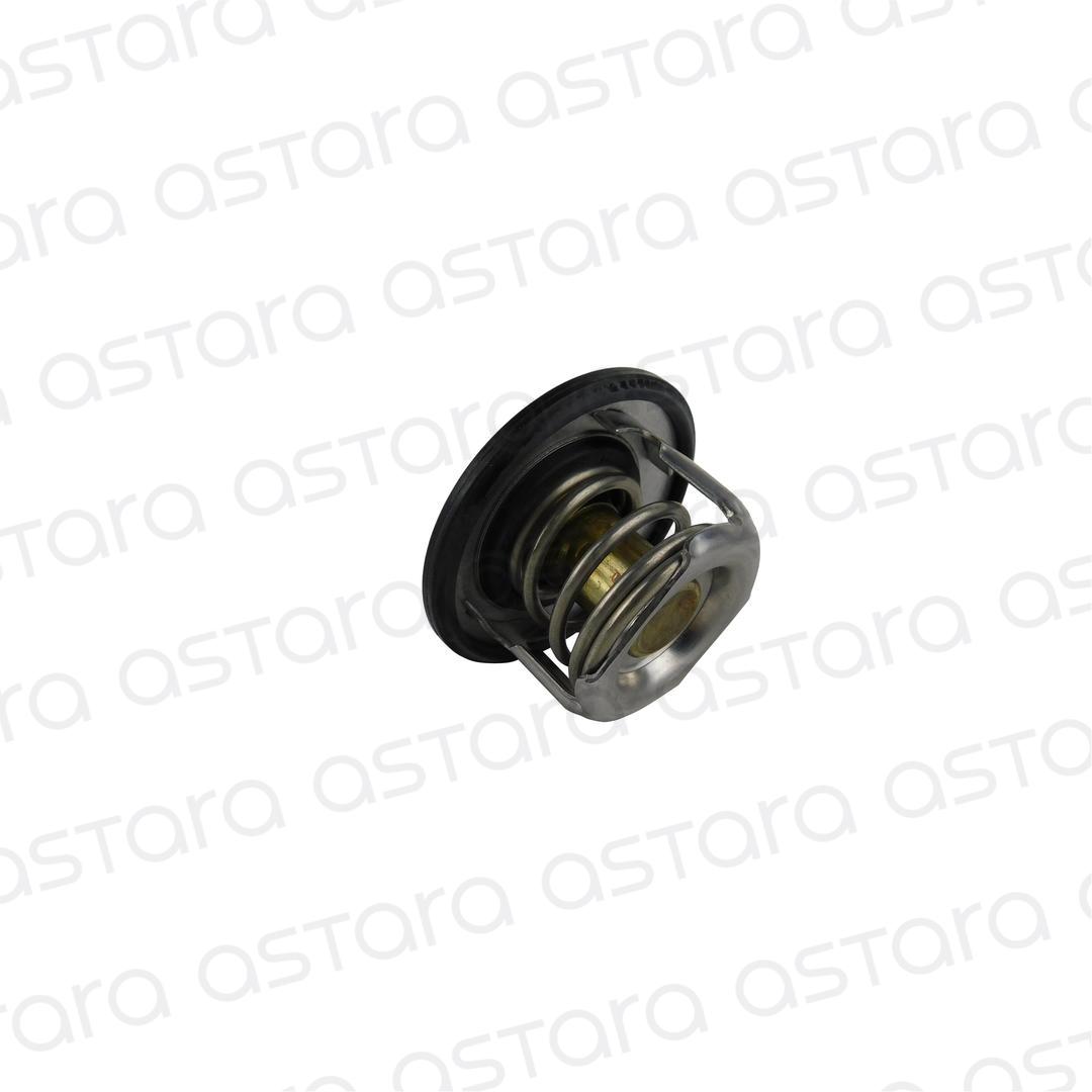 TERMOSTATO image number null
